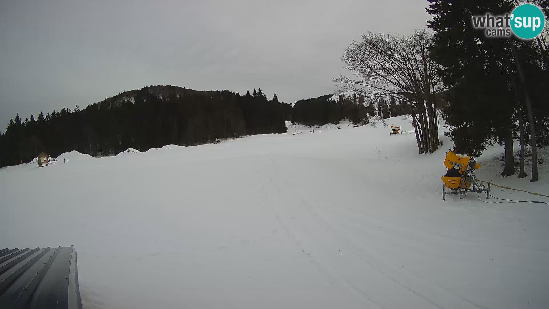 Live Webcam Sorica ski resort – Sorška planina – Slovenia