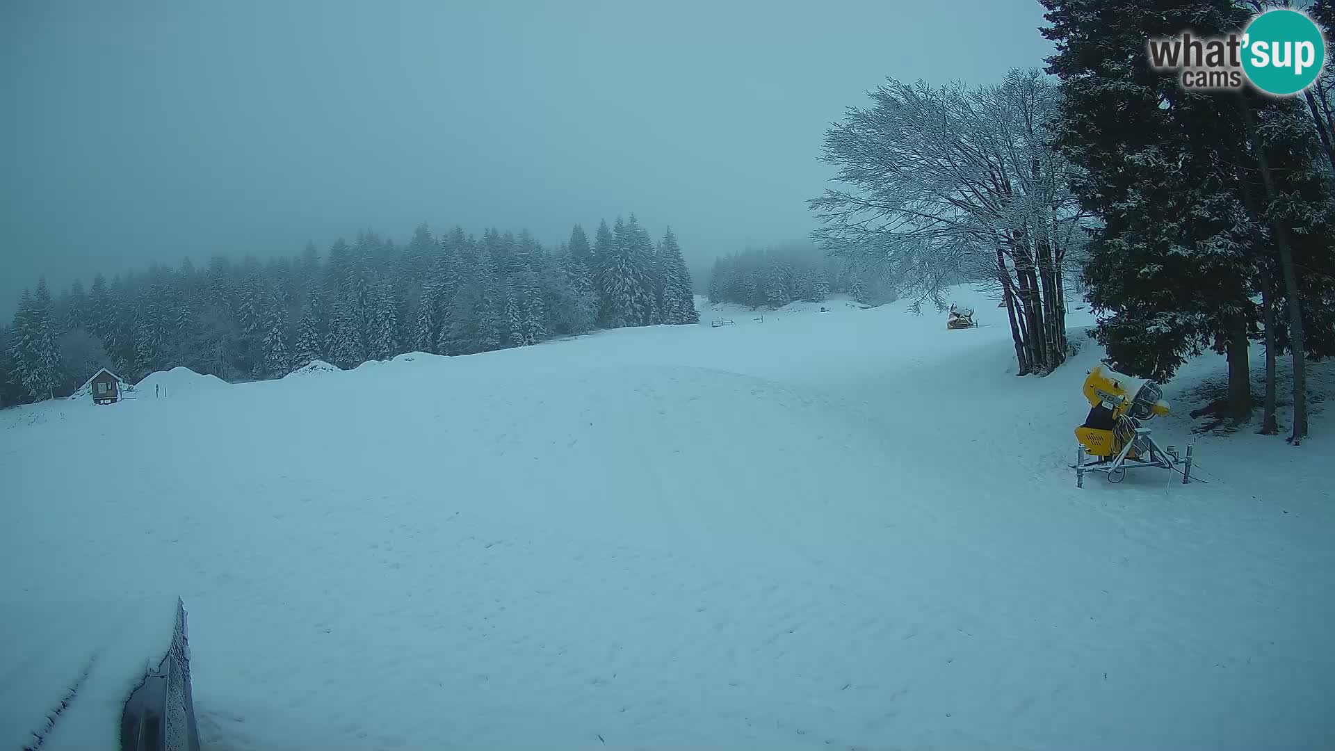 Smučišče Sorica spletna kamera – Sorška planina