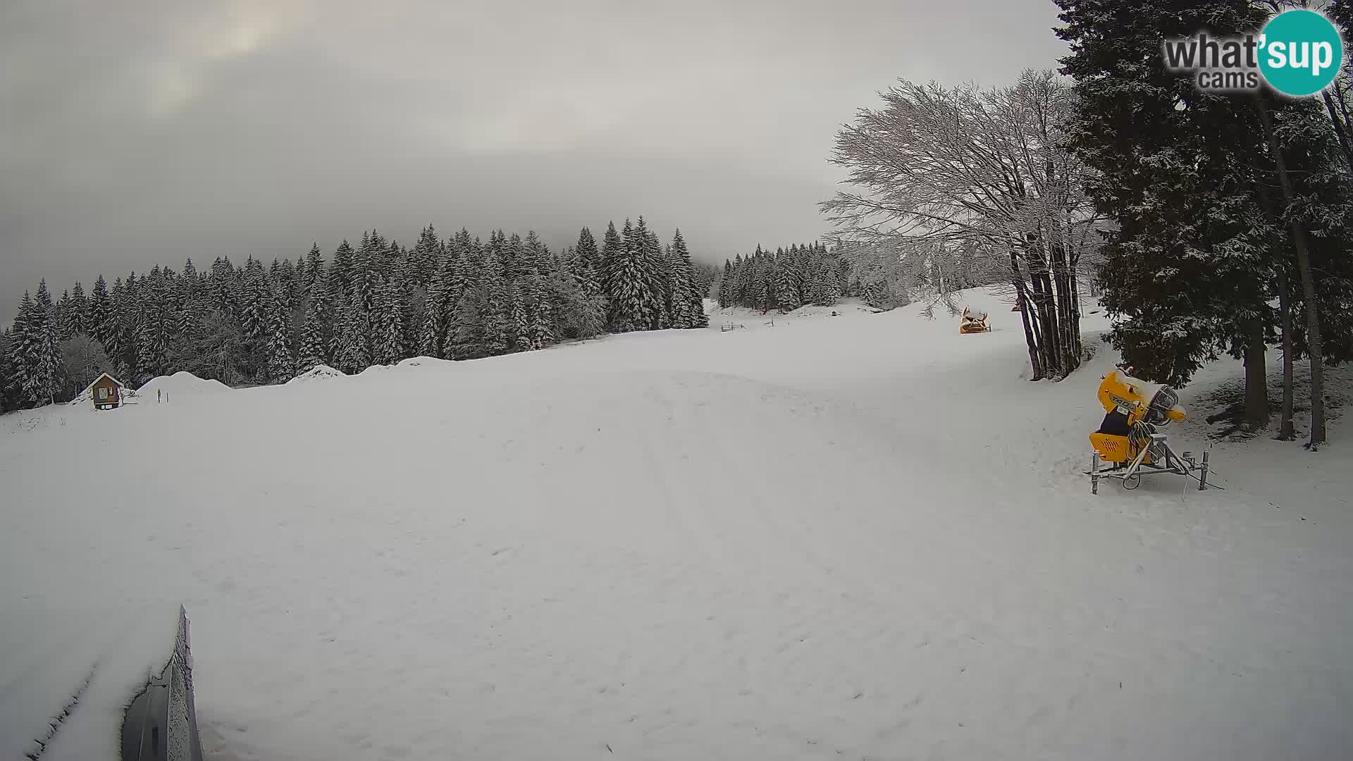 Smučišče Sorica spletna kamera – Sorška planina