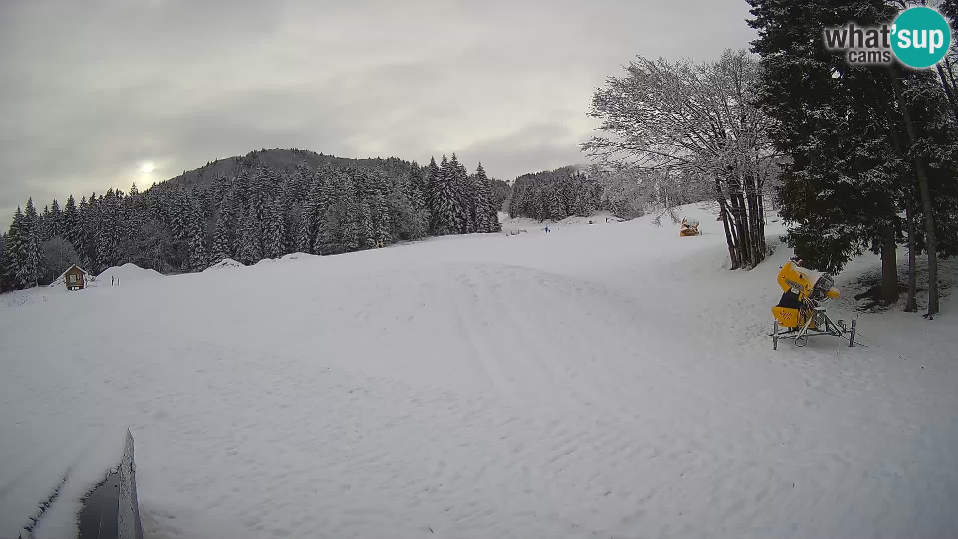Live Webcam Skigebiet Sorica – Sorška planina – Slowenien