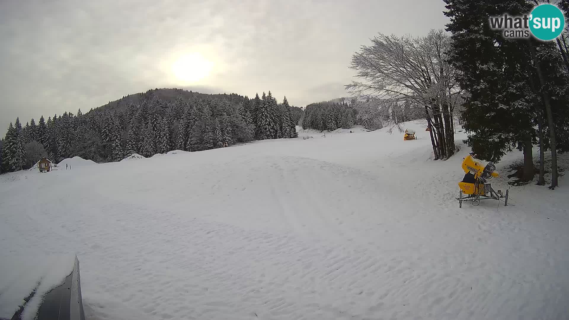 Webcam en vivo Estación de esquí de Sorica – Sorška planina – Eslovenia