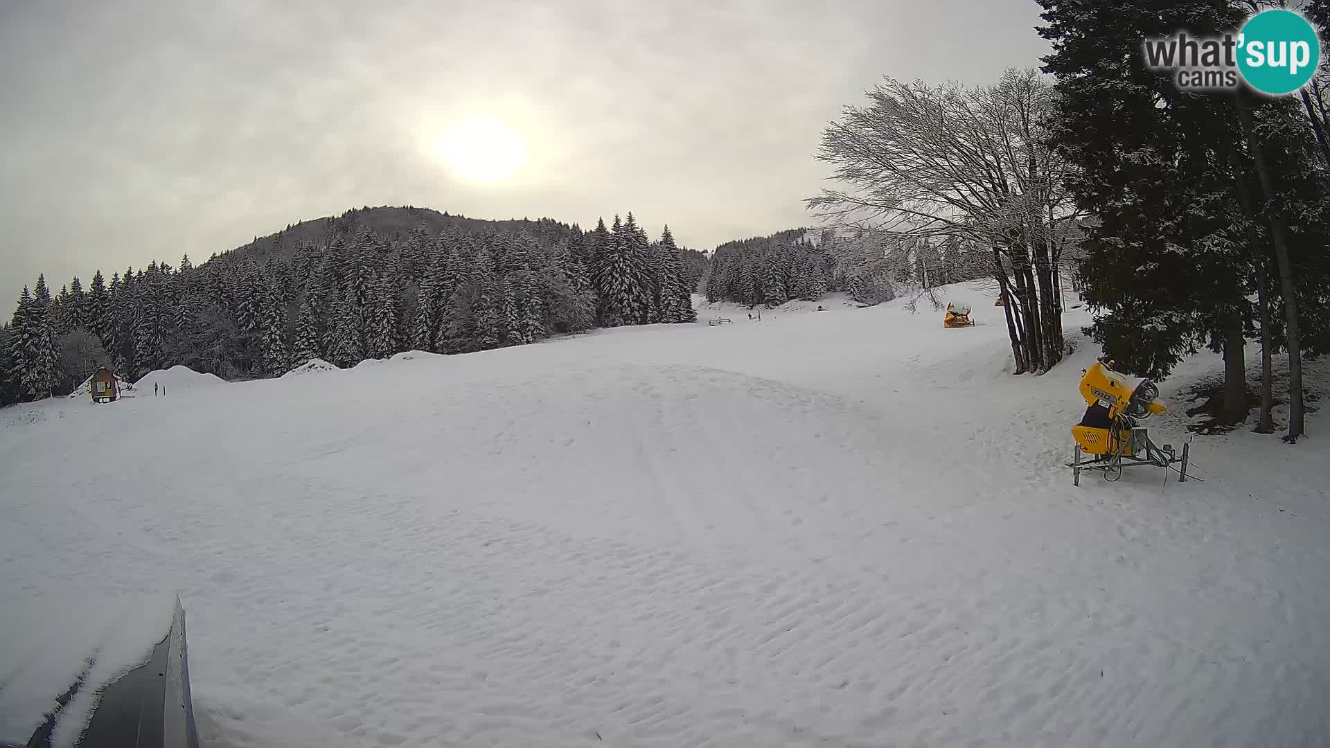 Live Webcam Sorica ski resort – Sorška planina – Slovenia
