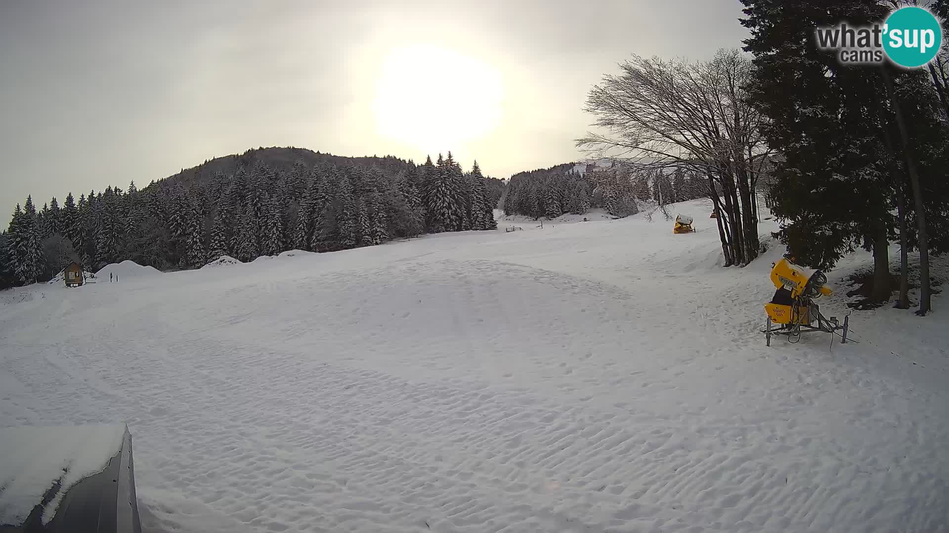 Smučišče Sorica spletna kamera – Sorška planina