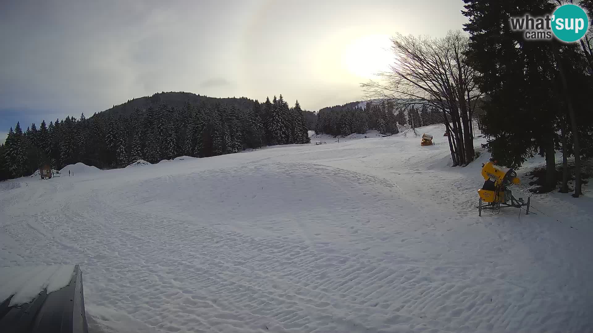 Webcam en vivo Estación de esquí de Sorica – Sorška planina – Eslovenia