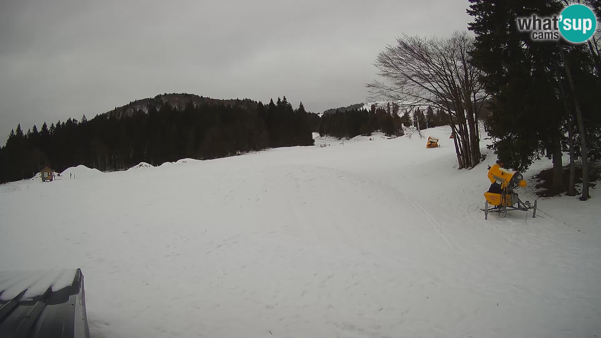 Live Webcam Skigebiet Sorica – Sorška planina – Slowenien