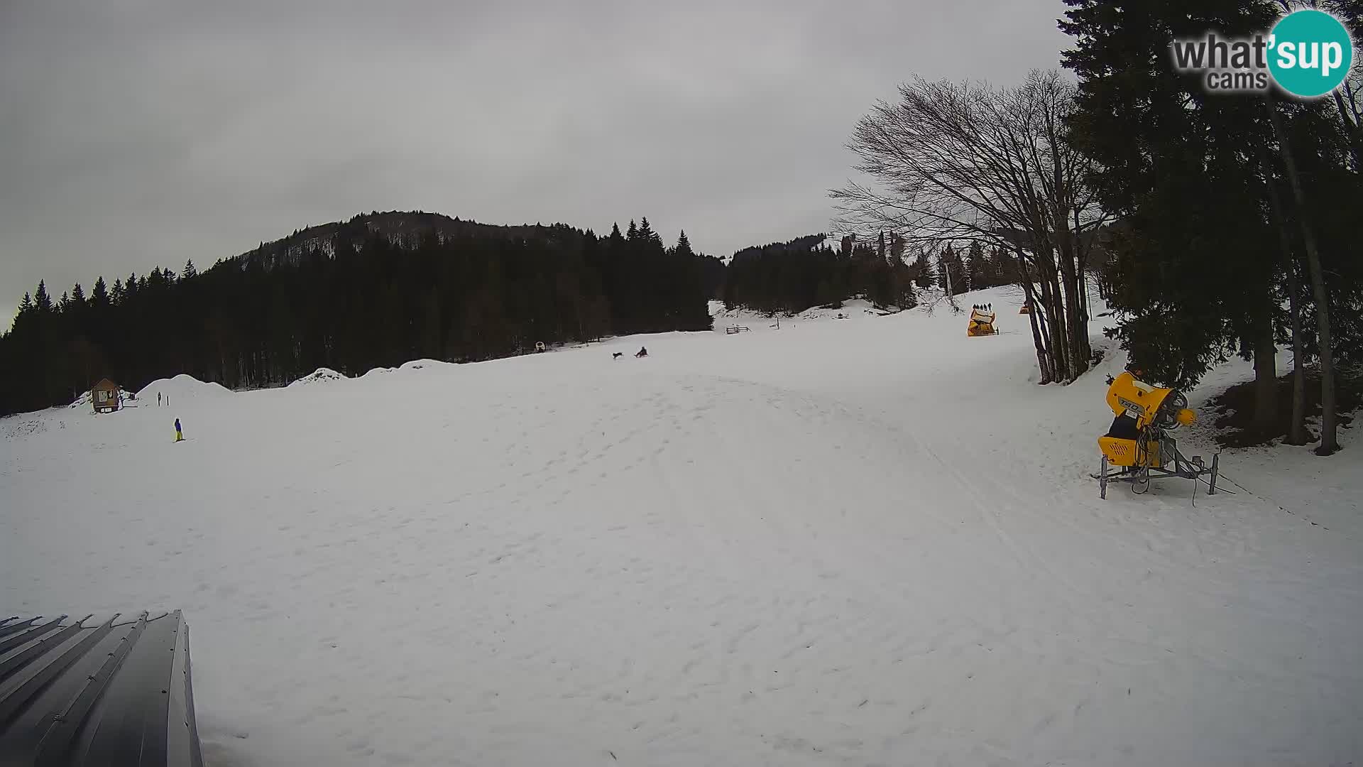 Live Webcam Sorica ski resort – Sorška planina – Slovenia