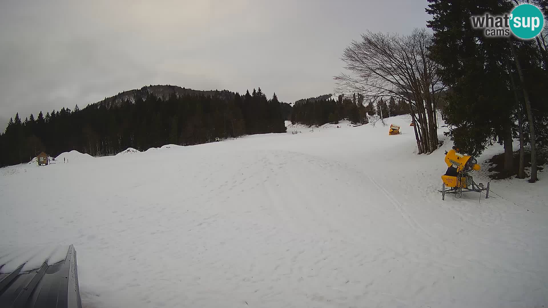 Live Webcam Skigebiet Sorica – Sorška planina – Slowenien