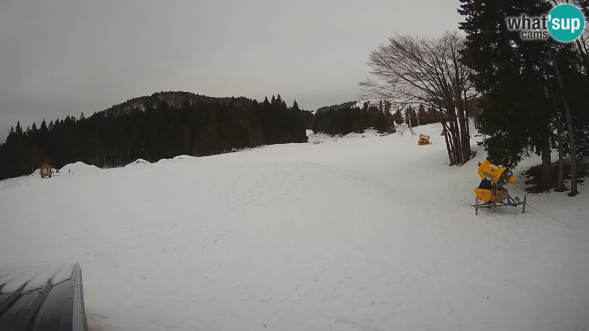 Webcam en vivo Estación de esquí de Sorica – Sorška planina – Eslovenia