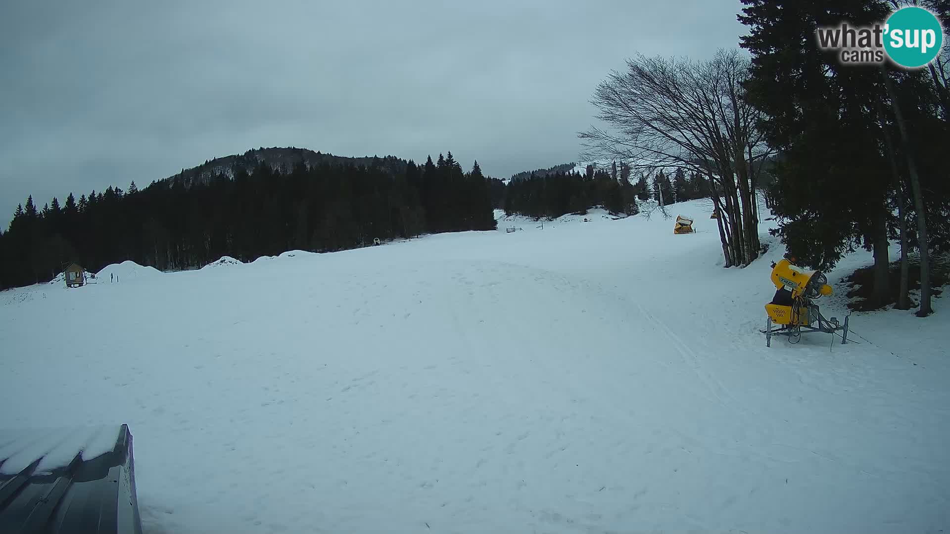 Live Webcam Sorica ski resort – Sorška planina – Slovenia