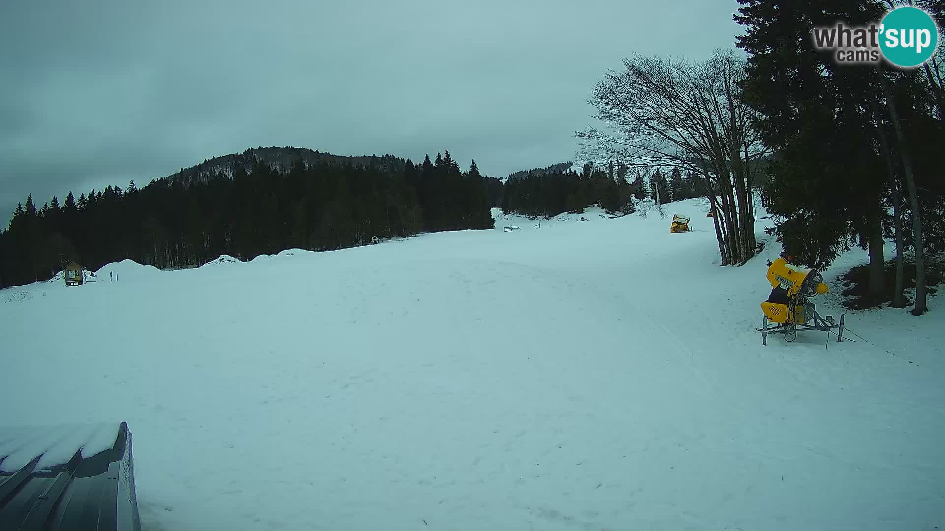 Live Webcam Sorica ski resort – Sorška planina – Slovenia