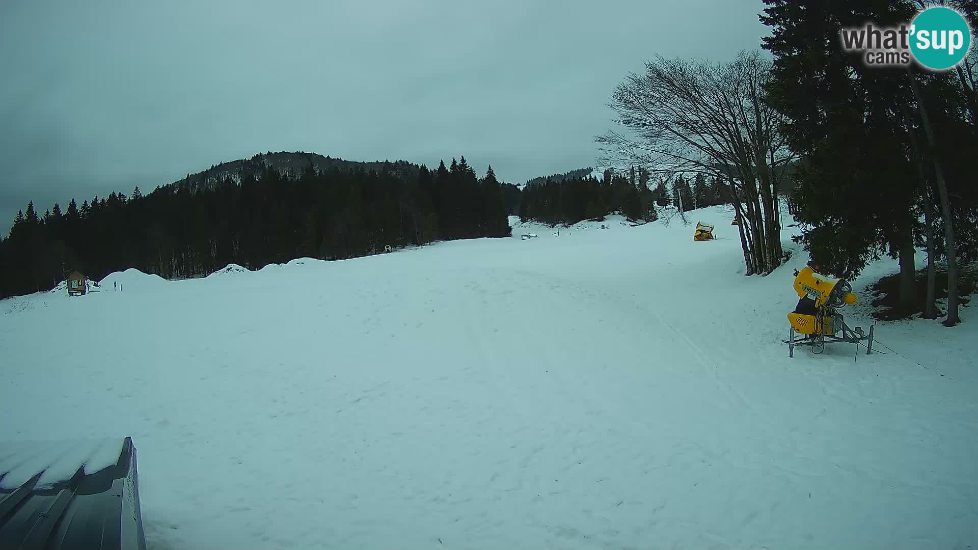 Webcam en direct station de ski de Sorica – Sorška planina – Slovénie