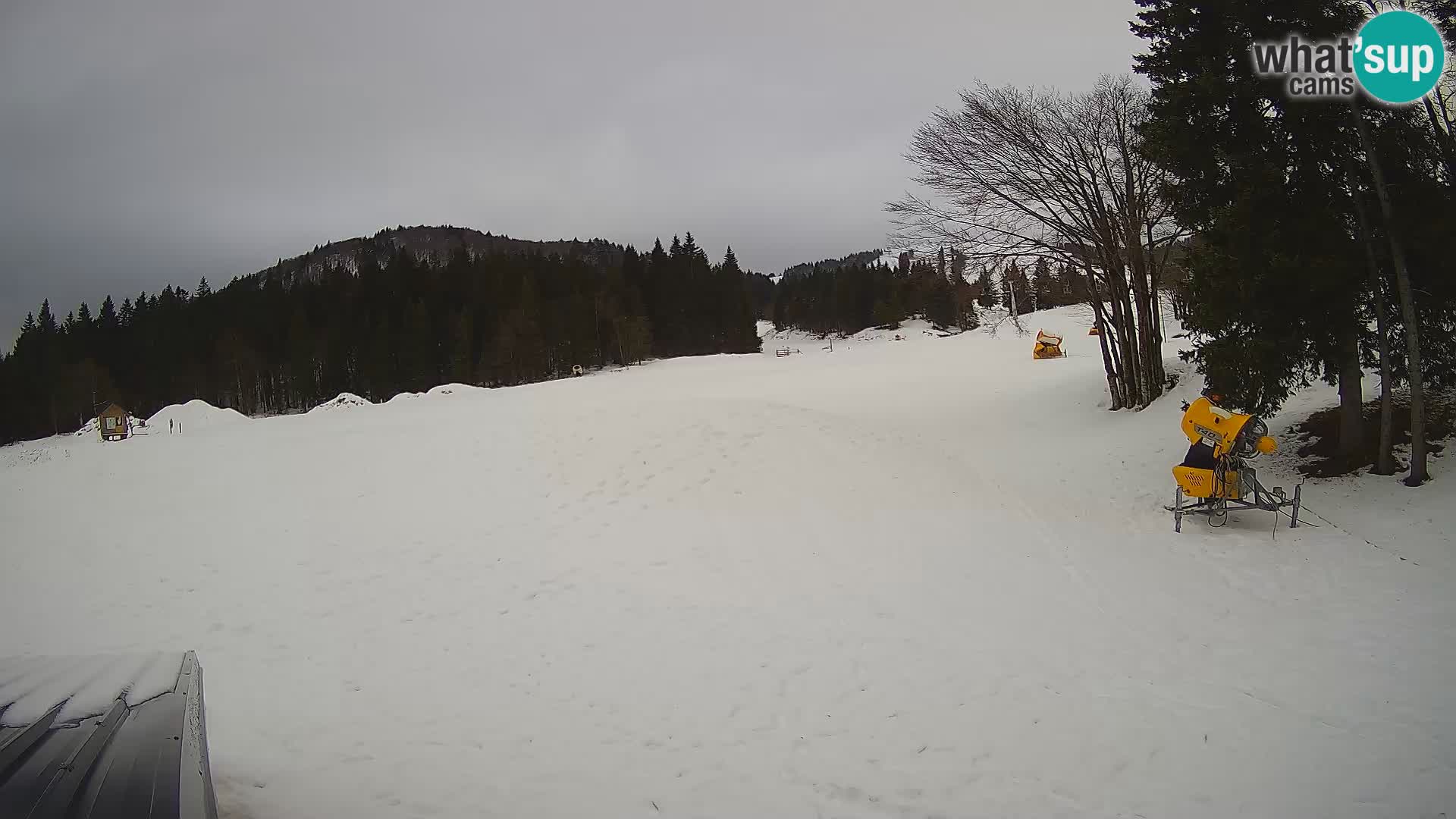 Webcam en vivo Estación de esquí de Sorica – Sorška planina – Eslovenia