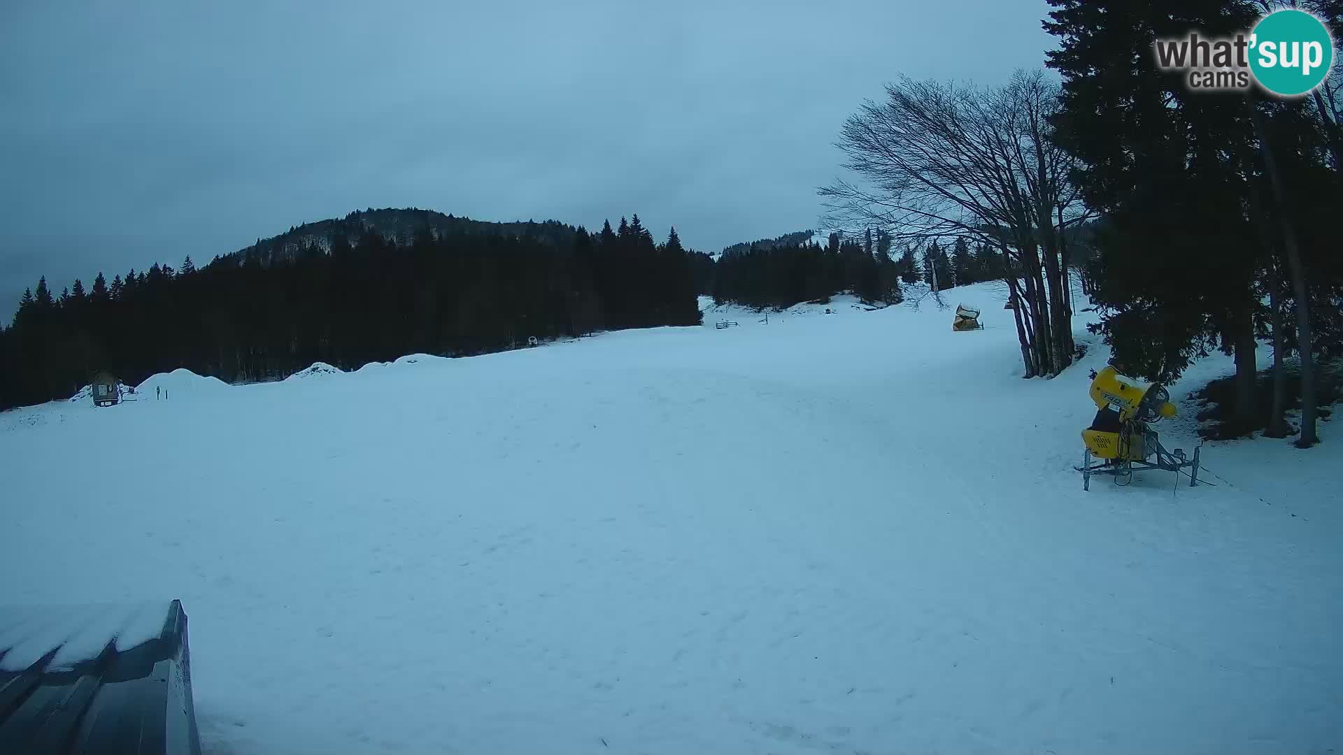 Webcam en vivo Estación de esquí de Sorica – Sorška planina – Eslovenia