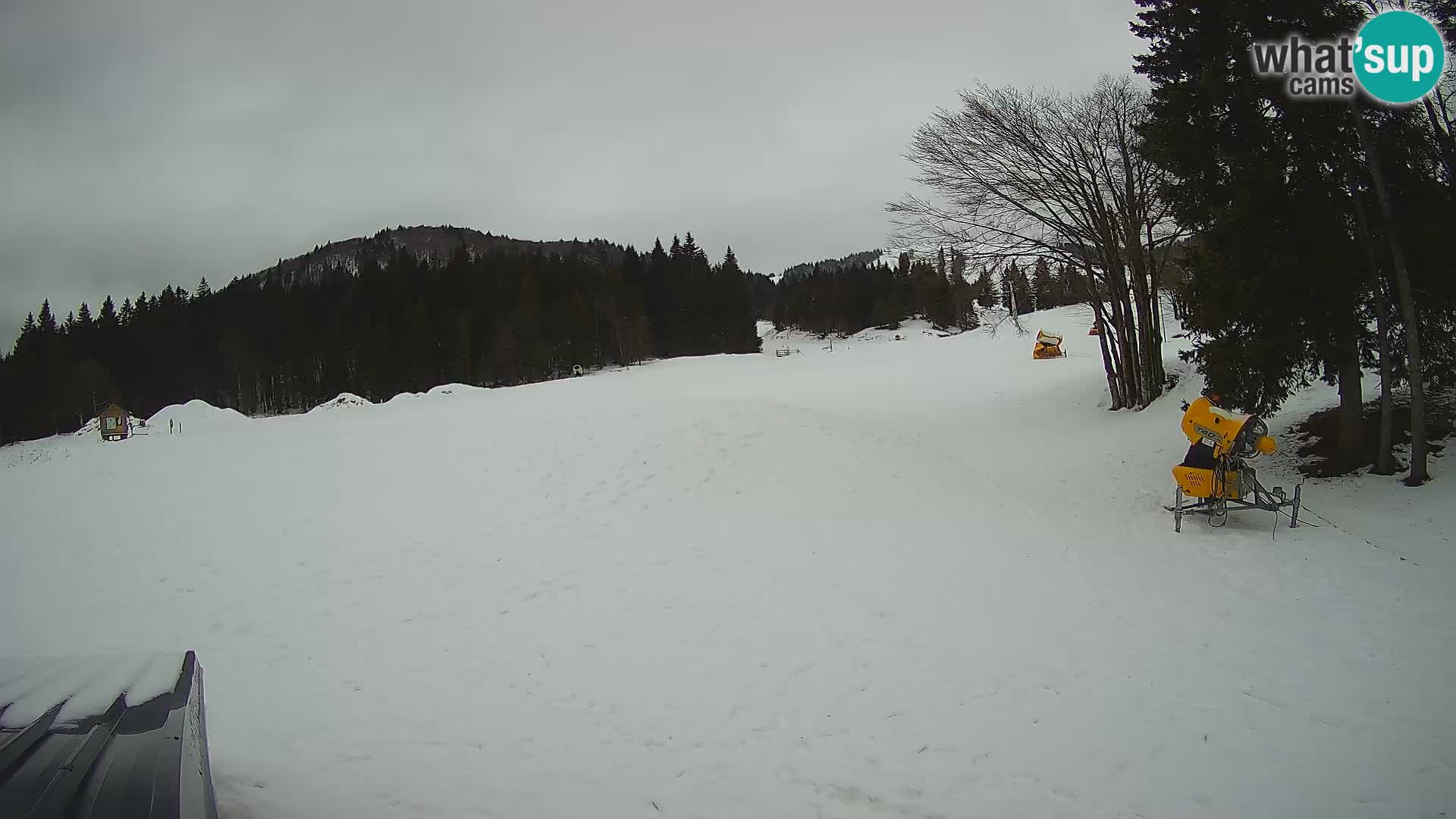 Live Webcam Sorica ski resort – Sorška planina – Slovenia
