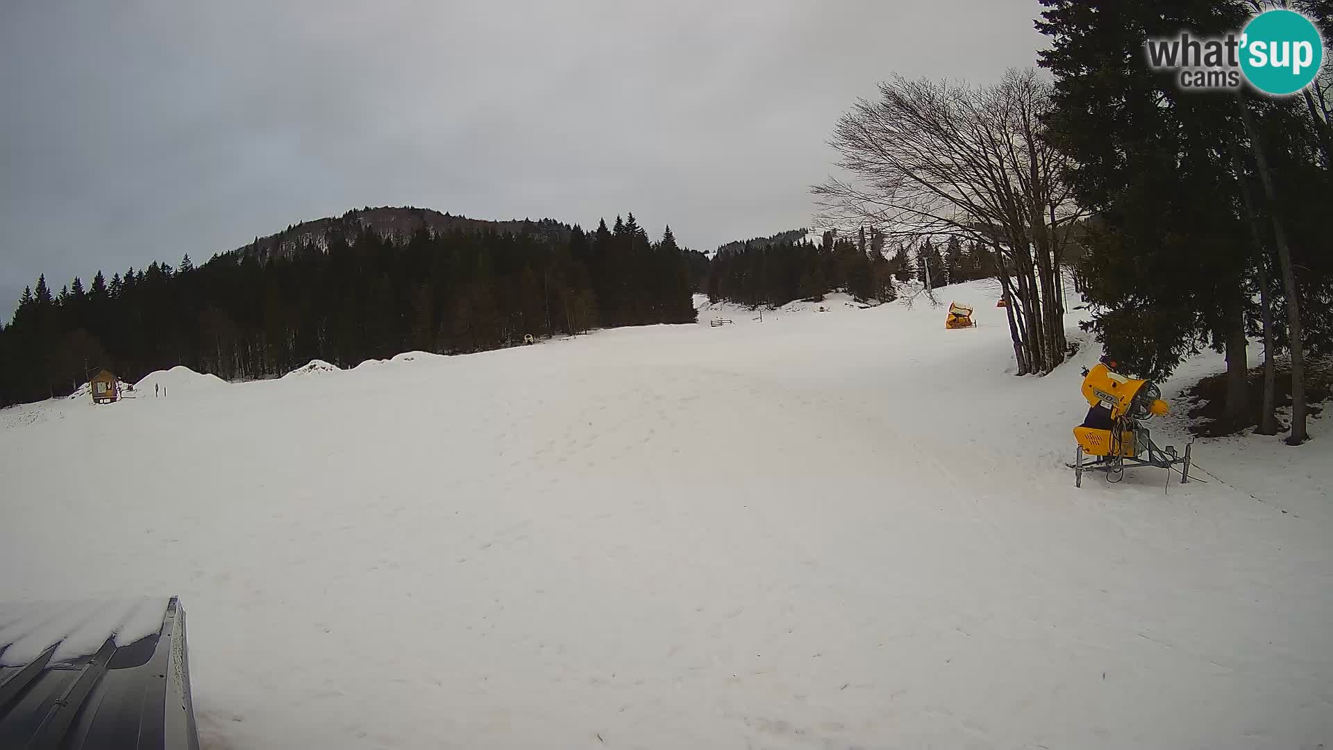 Live Webcam Skigebiet Sorica – Sorška planina – Slowenien