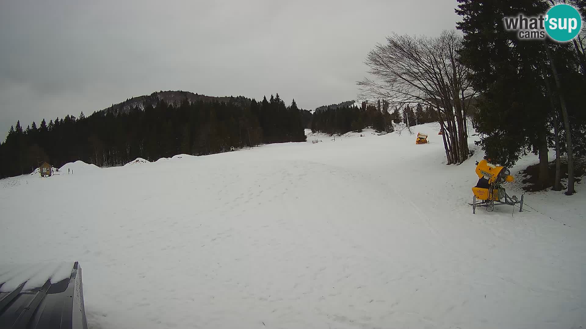 Webcam en vivo Estación de esquí de Sorica – Sorška planina – Eslovenia
