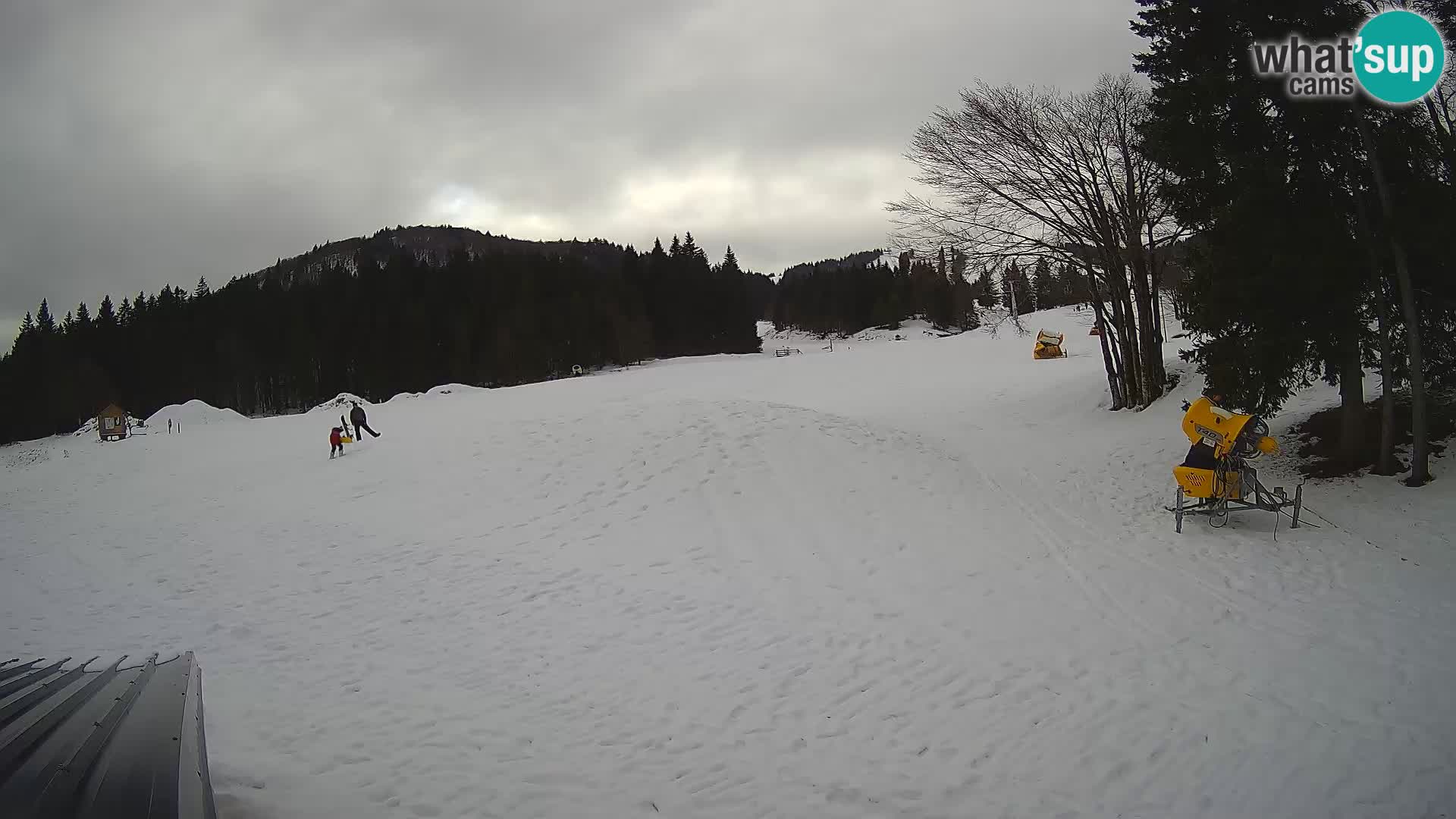 Webcam en vivo Estación de esquí de Sorica – Sorška planina – Eslovenia