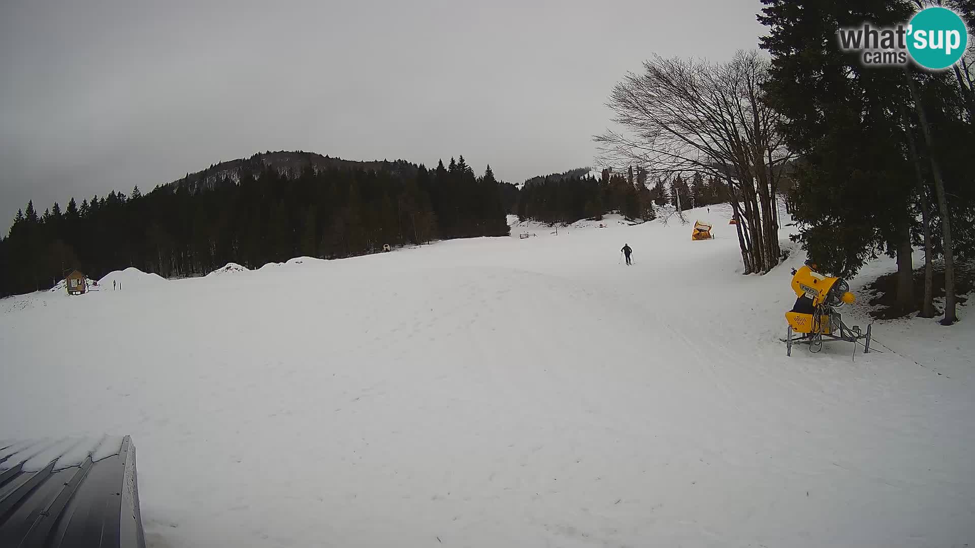 Smučišče Sorica spletna kamera – Sorška planina
