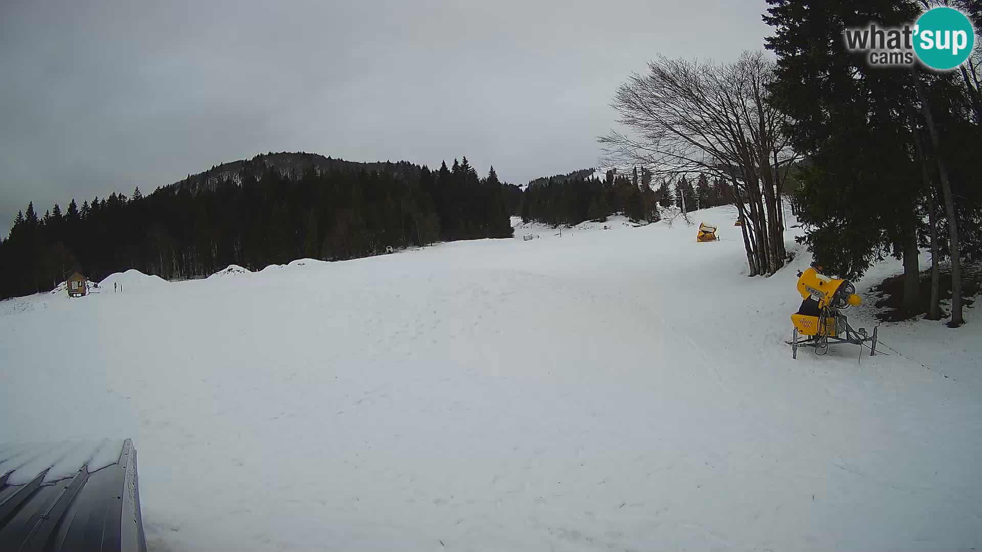 Live Webcam Skigebiet Sorica – Sorška planina – Slowenien