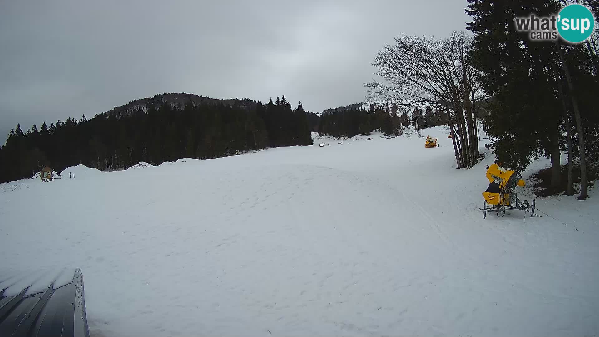 Live Webcam Stazione sciistica di Sorica – Sorška planina – Slovenia