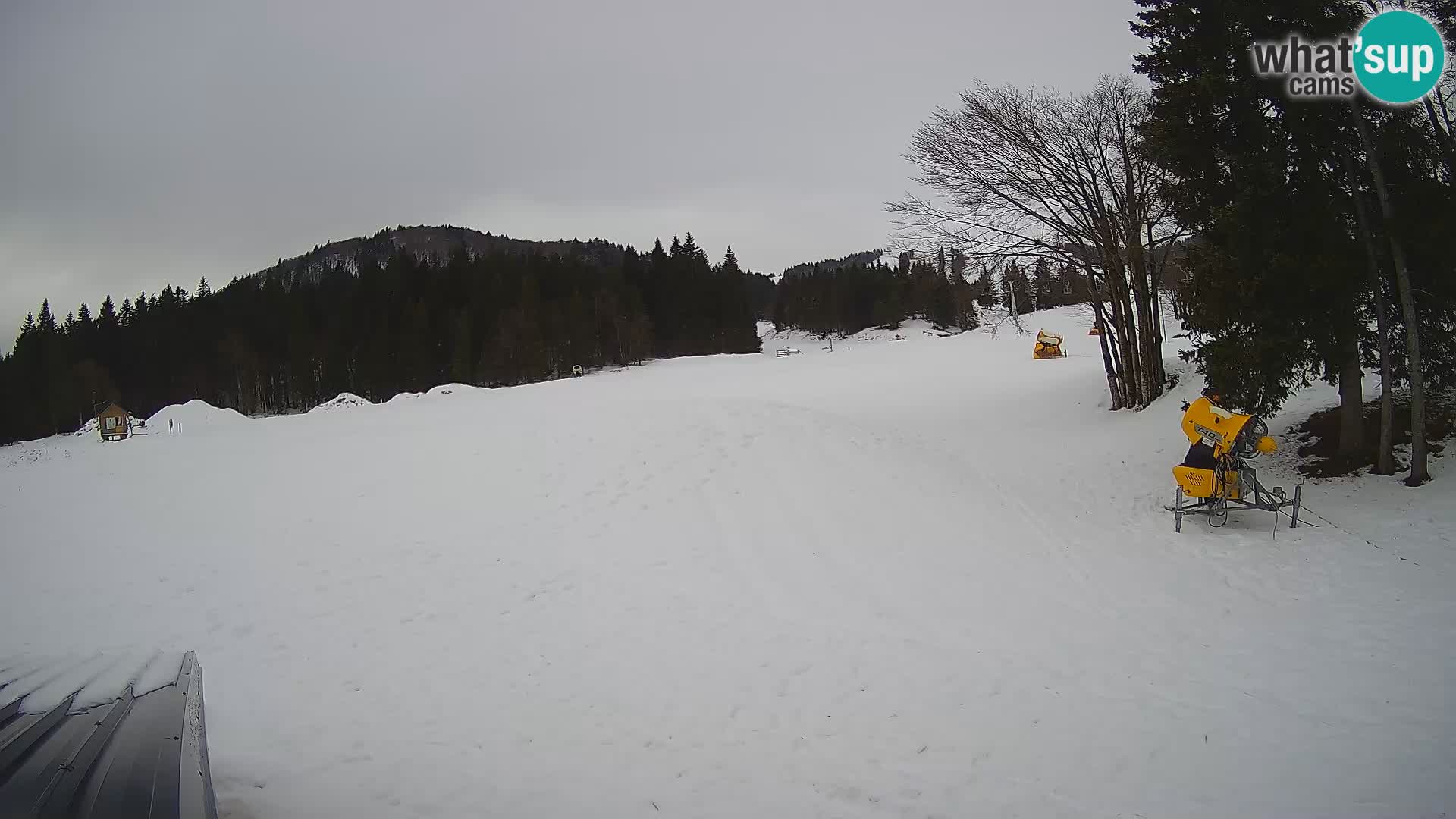Smučišče Sorica spletna kamera – Sorška planina