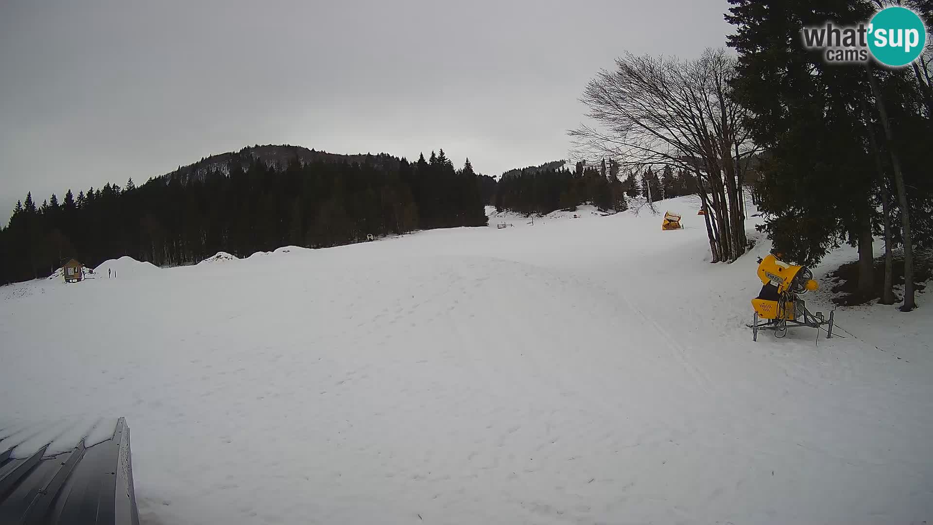 Live Webcam Sorica ski resort – Sorška planina – Slovenia