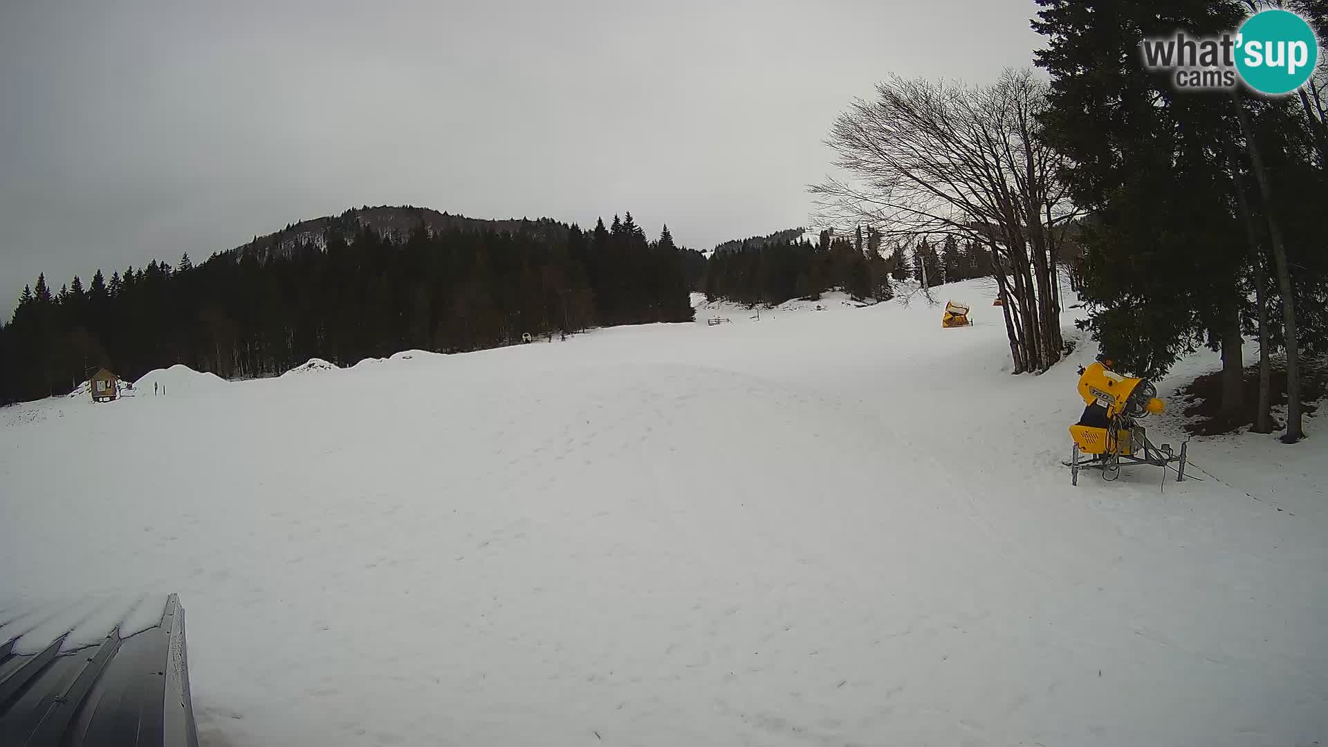 Live Webcam Stazione sciistica di Sorica – Sorška planina – Slovenia