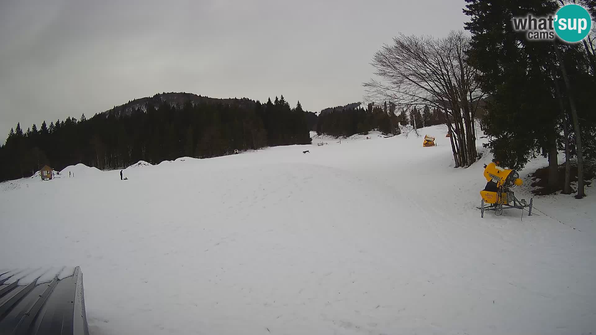 Webcam en vivo Estación de esquí de Sorica – Sorška planina – Eslovenia