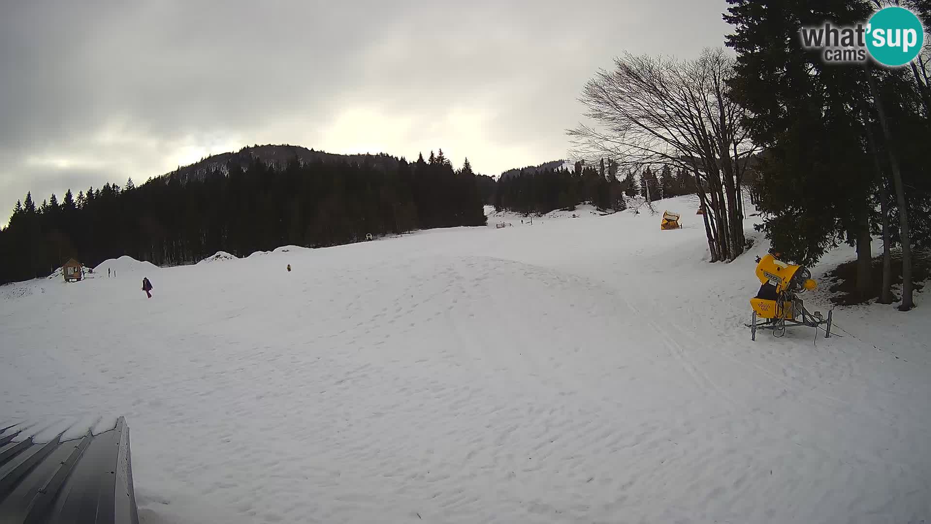 Live Webcam Skigebiet Sorica – Sorška planina – Slowenien