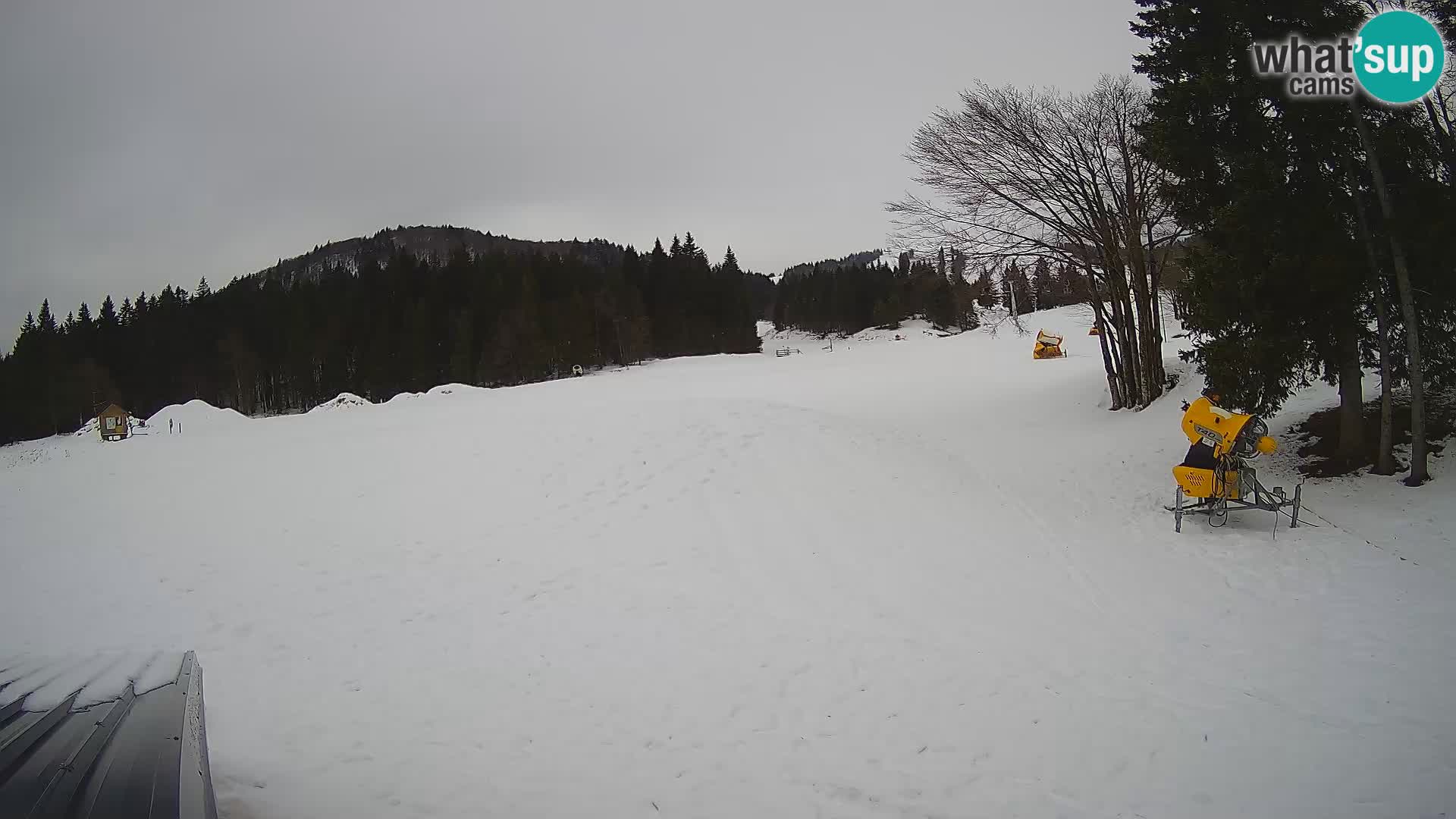 Webcam en vivo Estación de esquí de Sorica – Sorška planina – Eslovenia