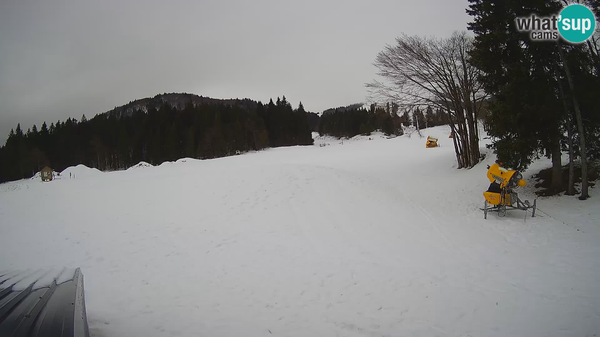 Webcam en vivo Estación de esquí de Sorica – Sorška planina – Eslovenia