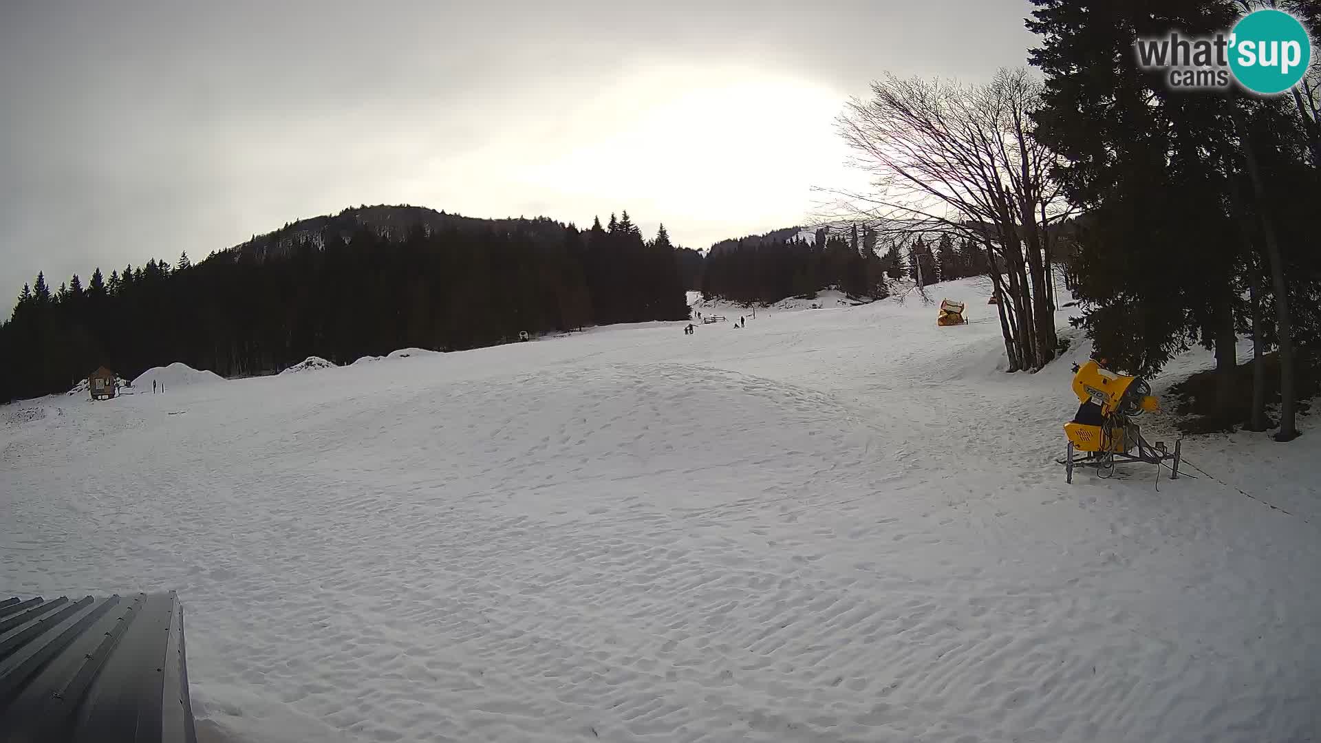 Live Webcam Stazione sciistica di Sorica – Sorška planina – Slovenia