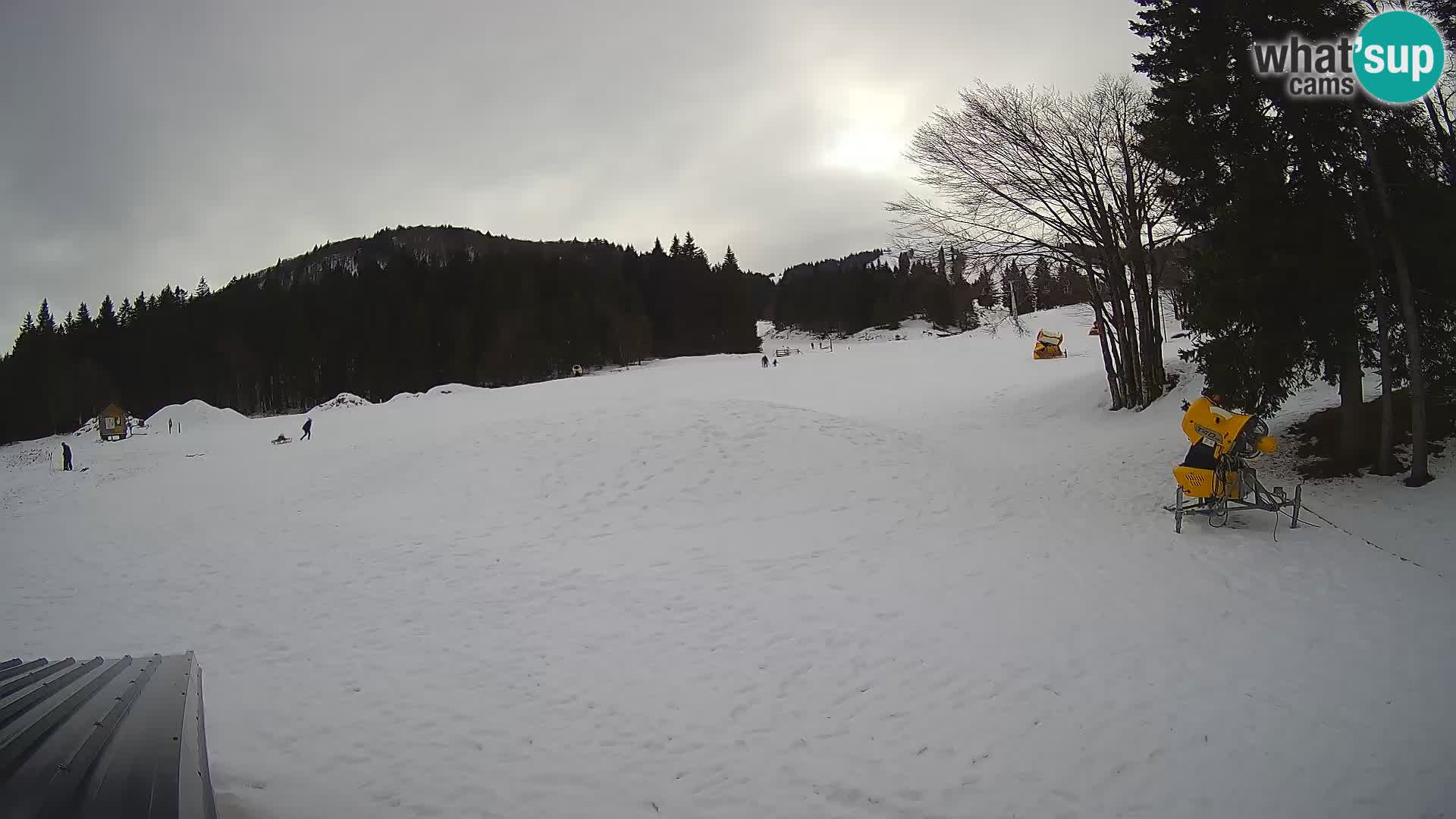 Smučišče Sorica spletna kamera – Sorška planina