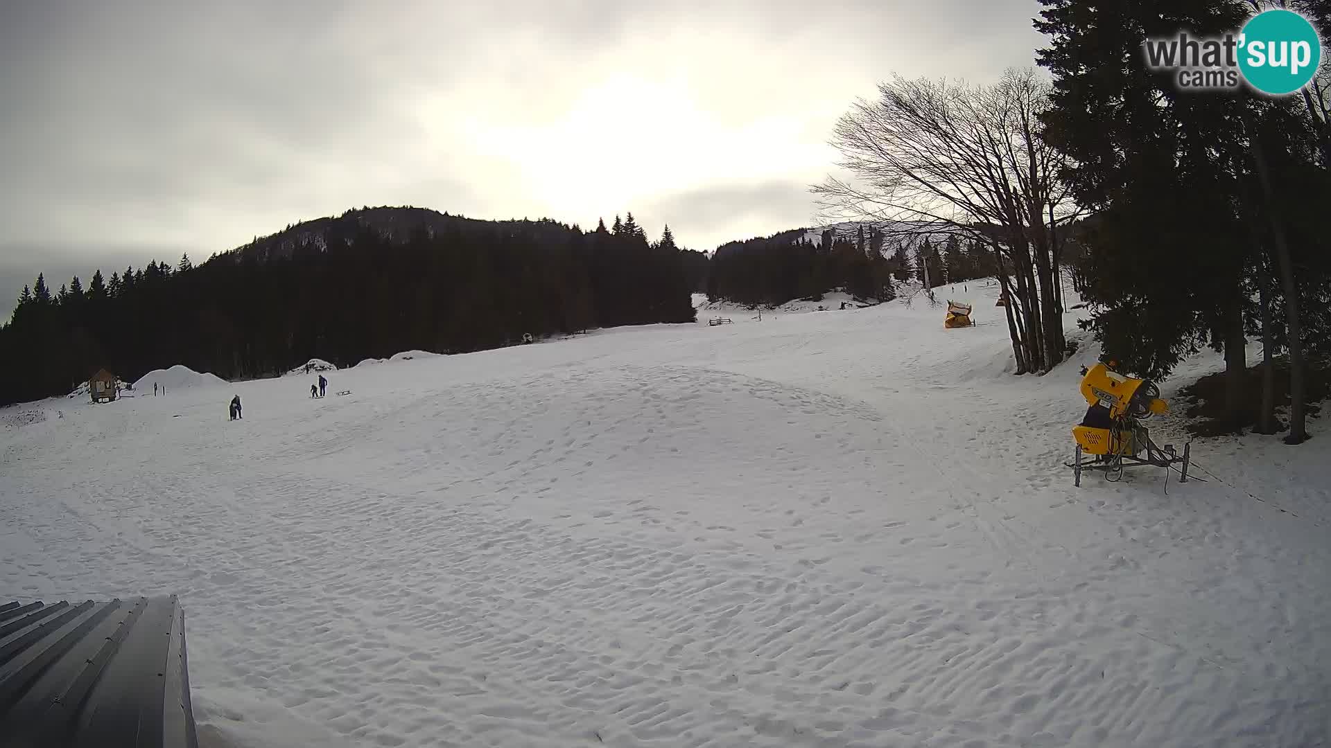 Live Webcam Sorica ski resort – Sorška planina – Slovenia