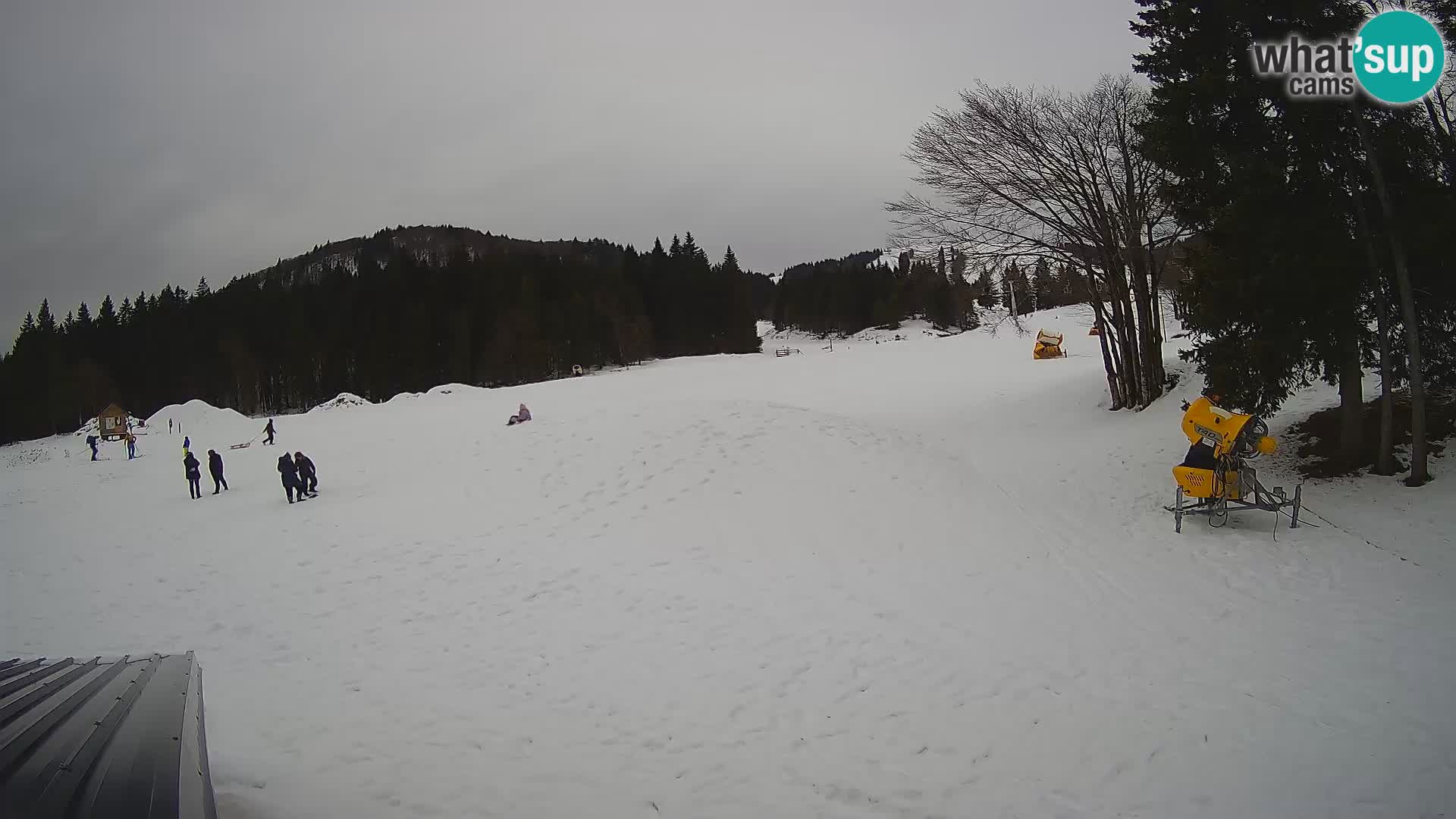 Live Webcam Sorica ski resort – Sorška planina – Slovenia