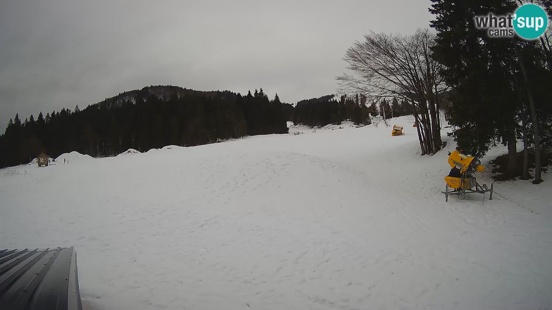 Smučišče Sorica spletna kamera – Sorška planina