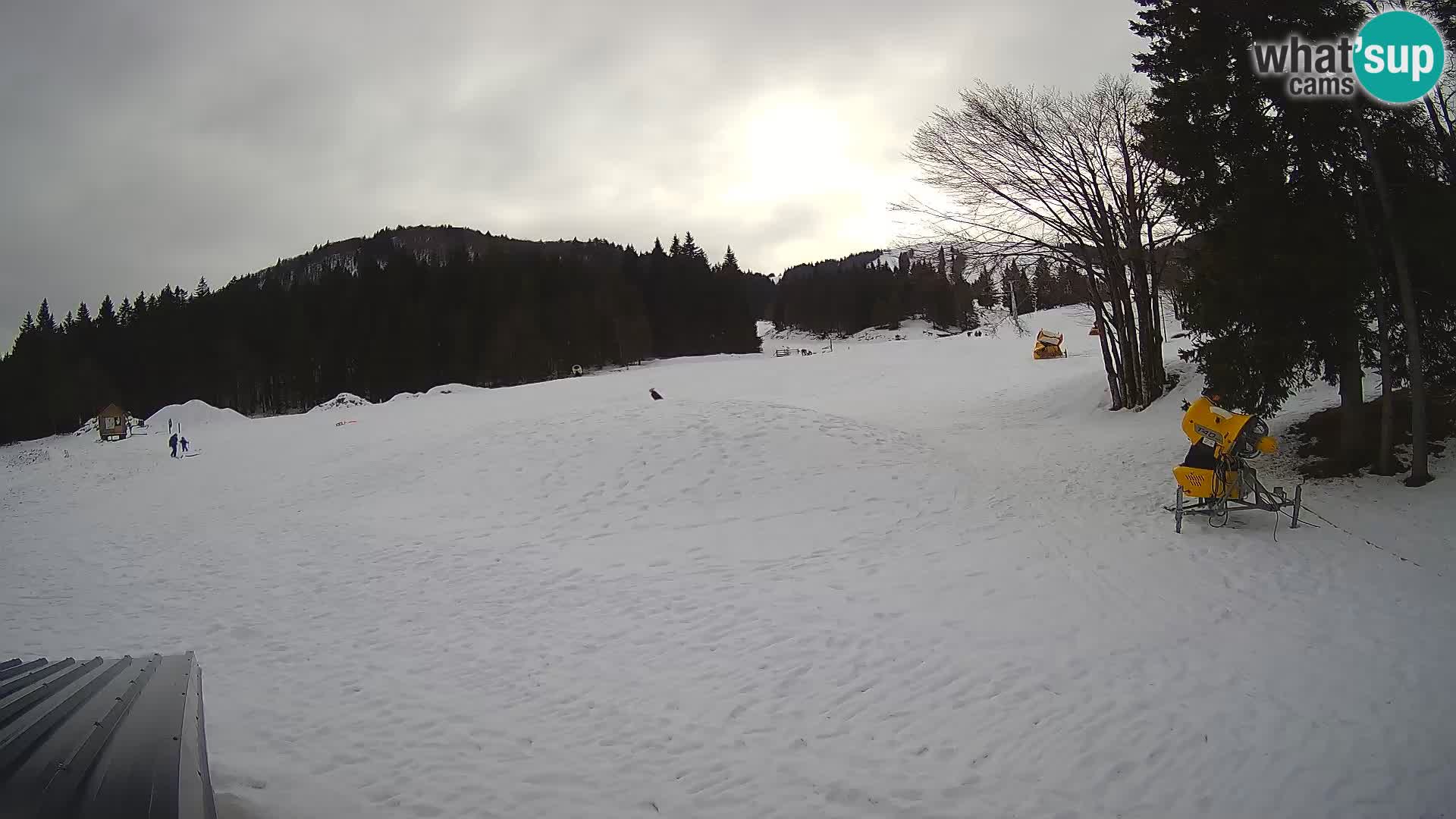 Live Webcam Stazione sciistica di Sorica – Sorška planina – Slovenia