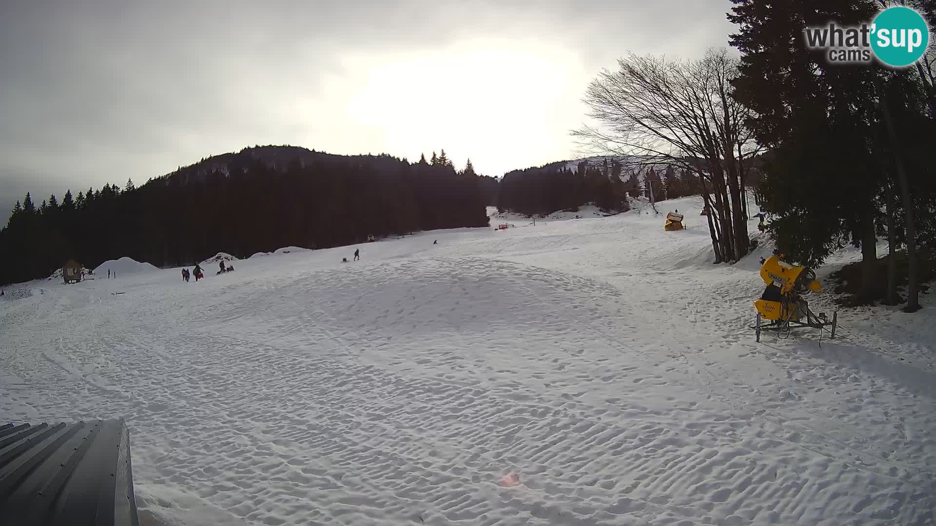 Live Webcam Stazione sciistica di Sorica – Sorška planina – Slovenia