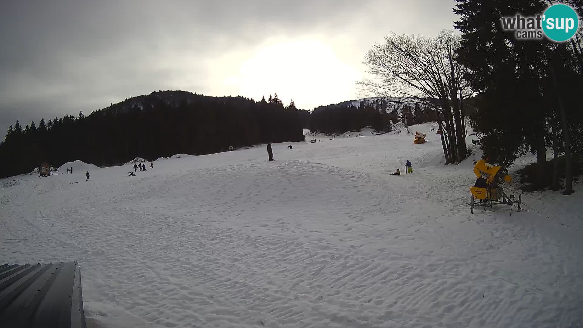 Live Webcam Stazione sciistica di Sorica – Sorška planina – Slovenia