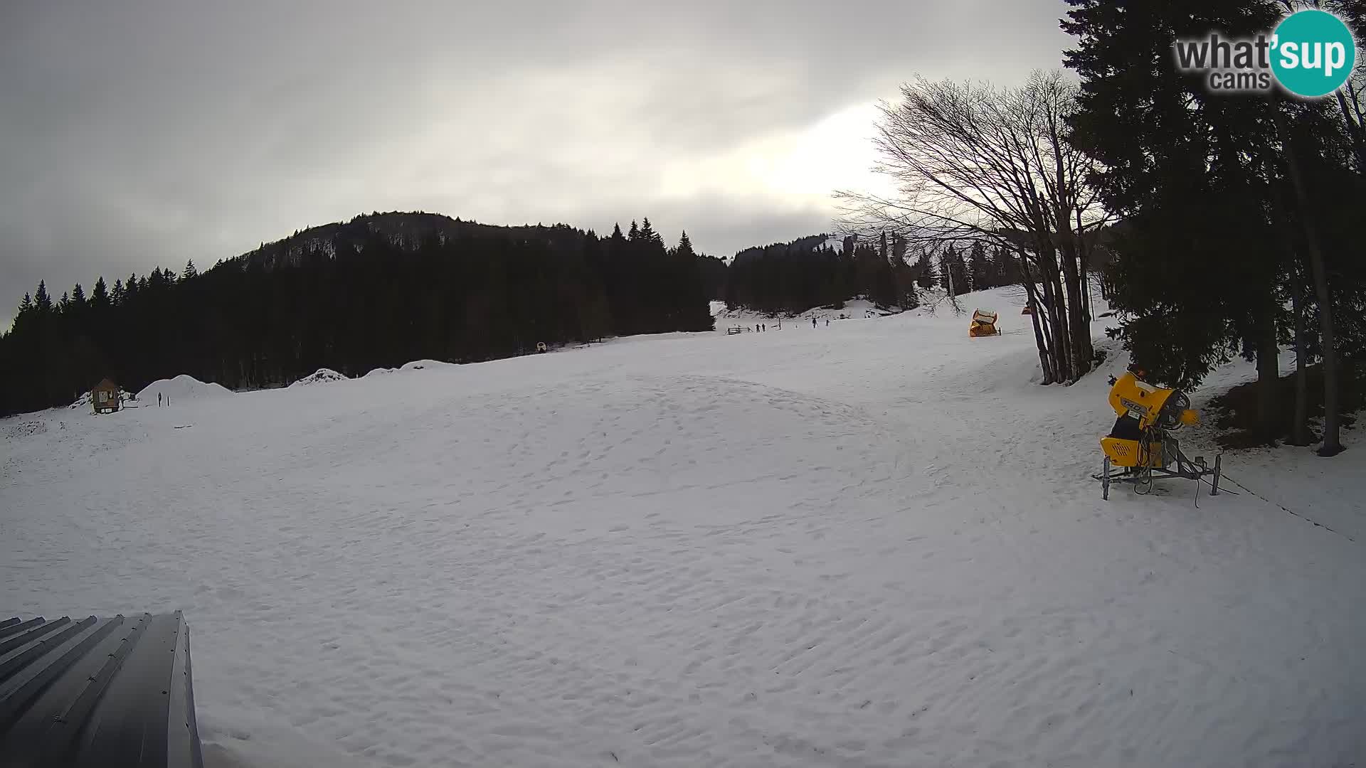 Live Webcam Skigebiet Sorica – Sorška planina – Slowenien