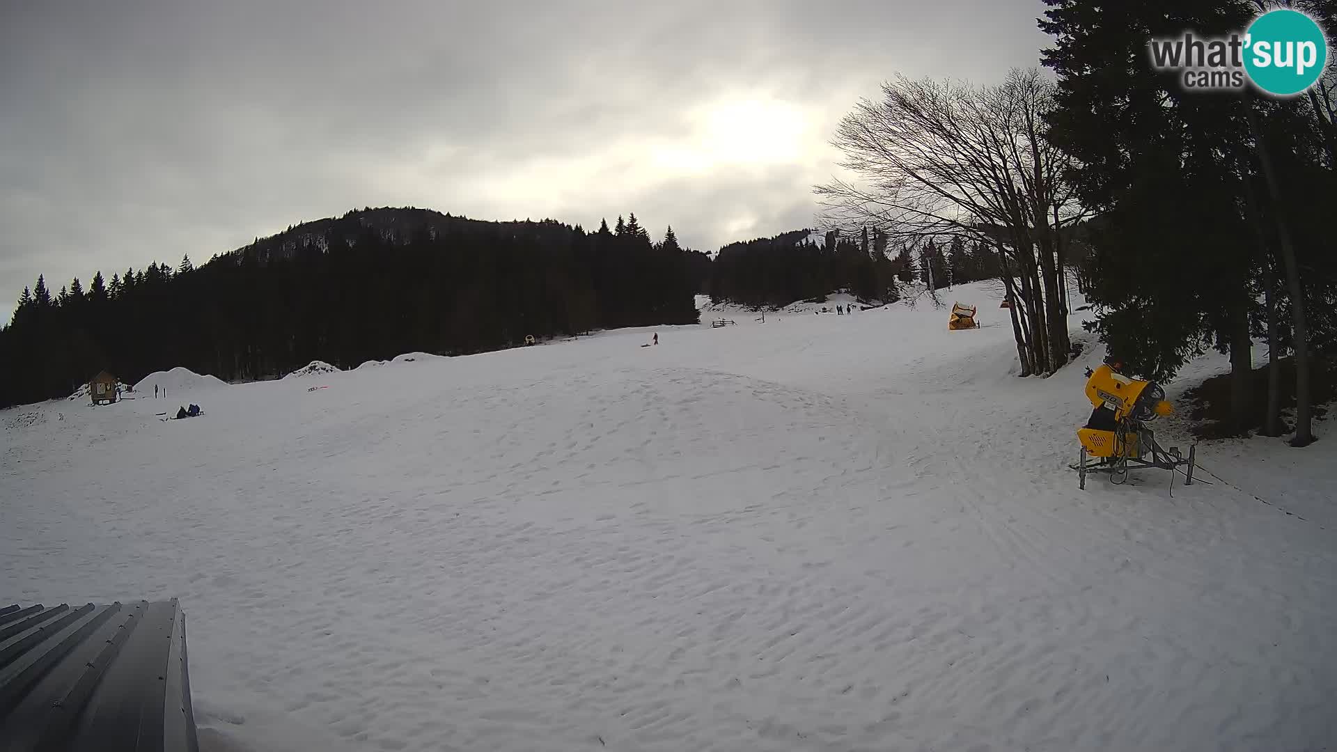 Live Webcam Stazione sciistica di Sorica – Sorška planina – Slovenia