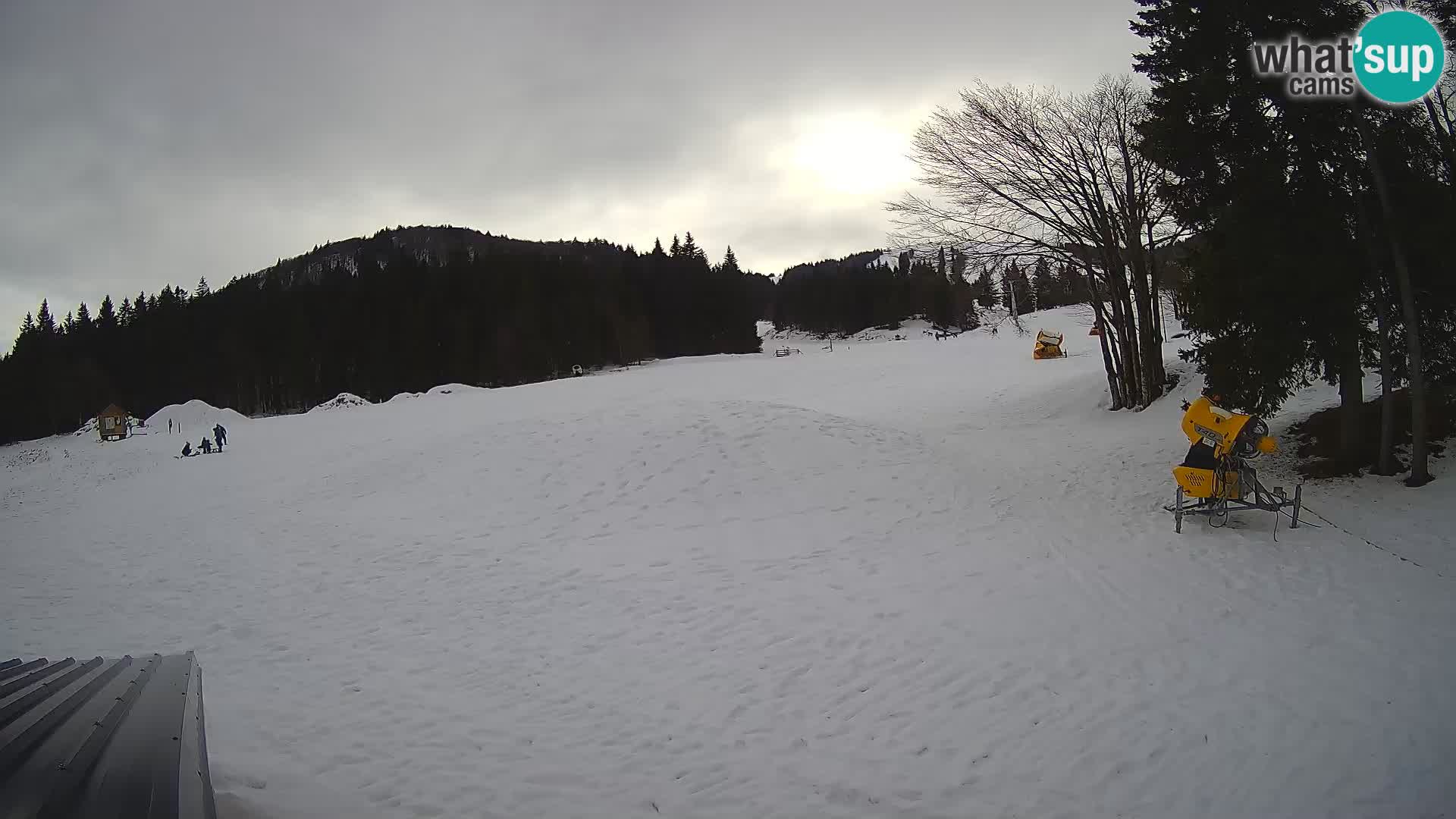 Live Webcam Sorica ski resort – Sorška planina – Slovenia