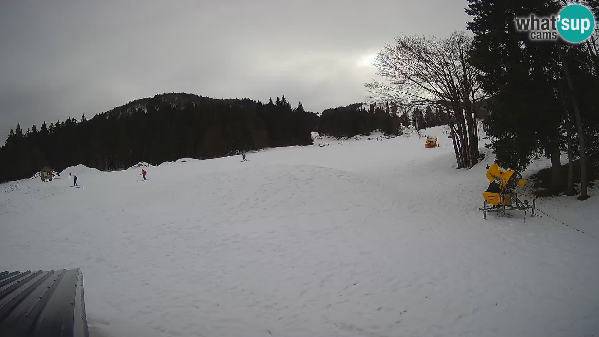 Webcam en vivo Estación de esquí de Sorica – Sorška planina – Eslovenia