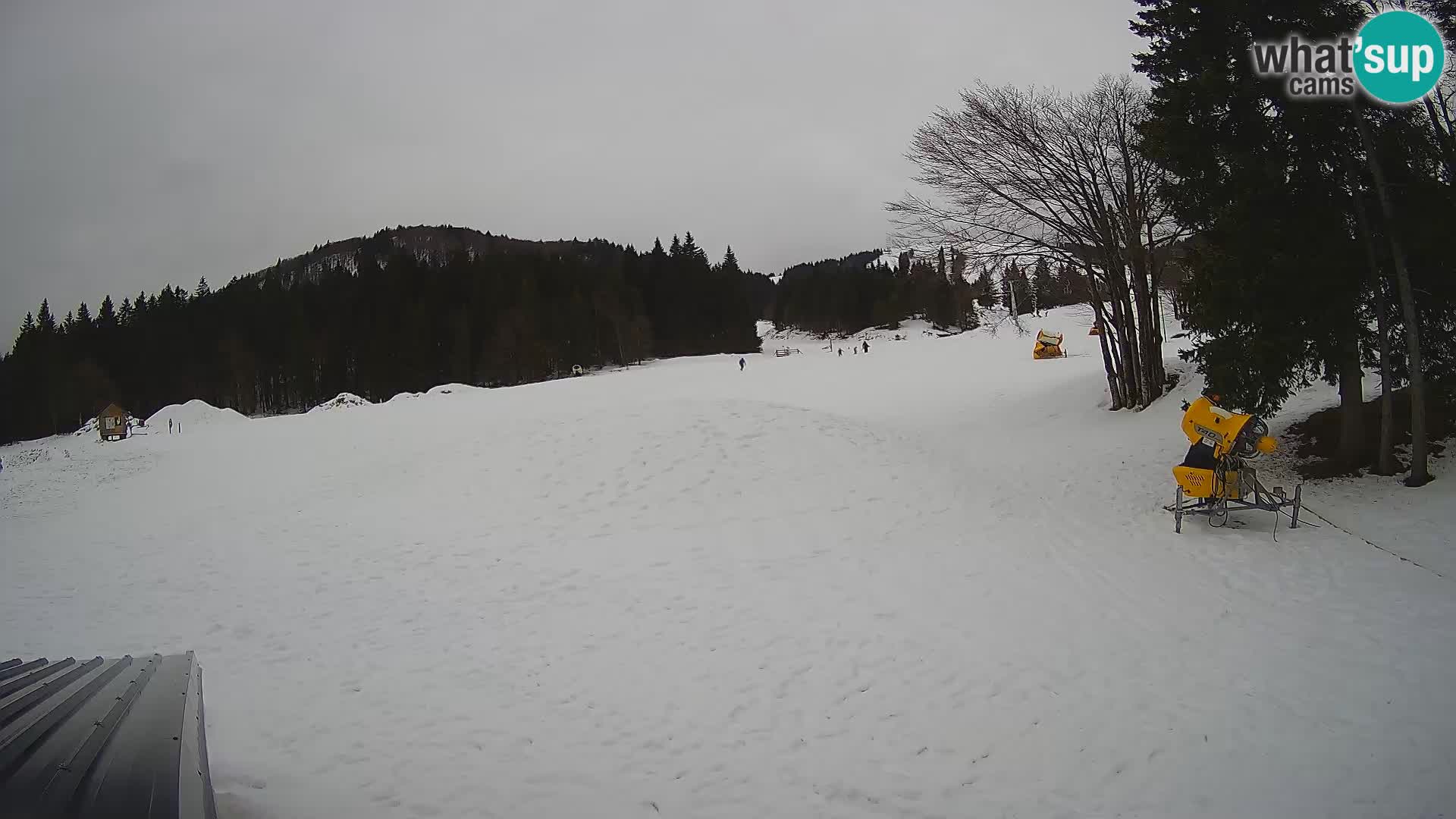 Webcam en direct station de ski de Sorica – Sorška planina – Slovénie