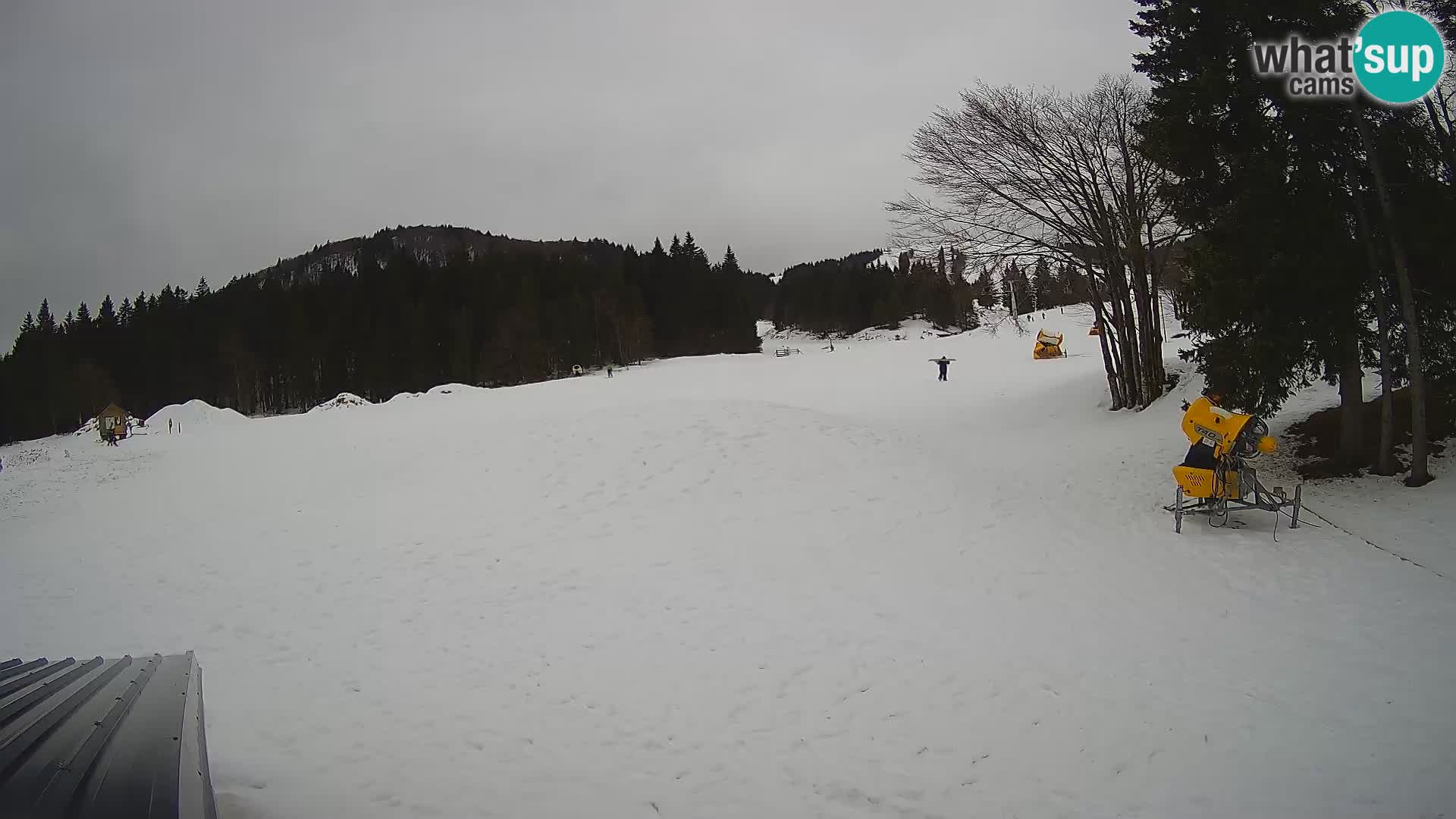 Smučišče Sorica spletna kamera – Sorška planina