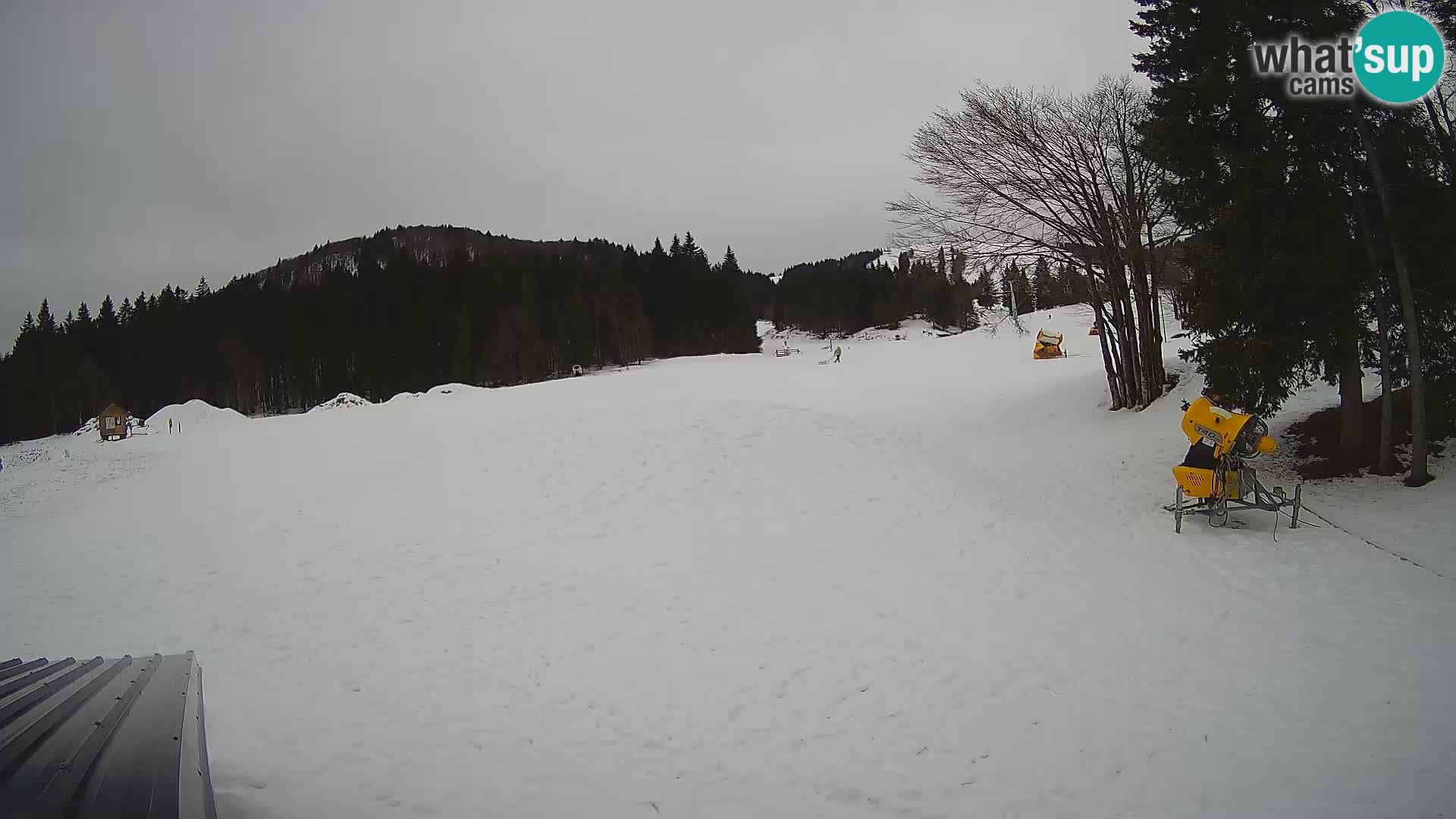 Live Webcam Stazione sciistica di Sorica – Sorška planina – Slovenia