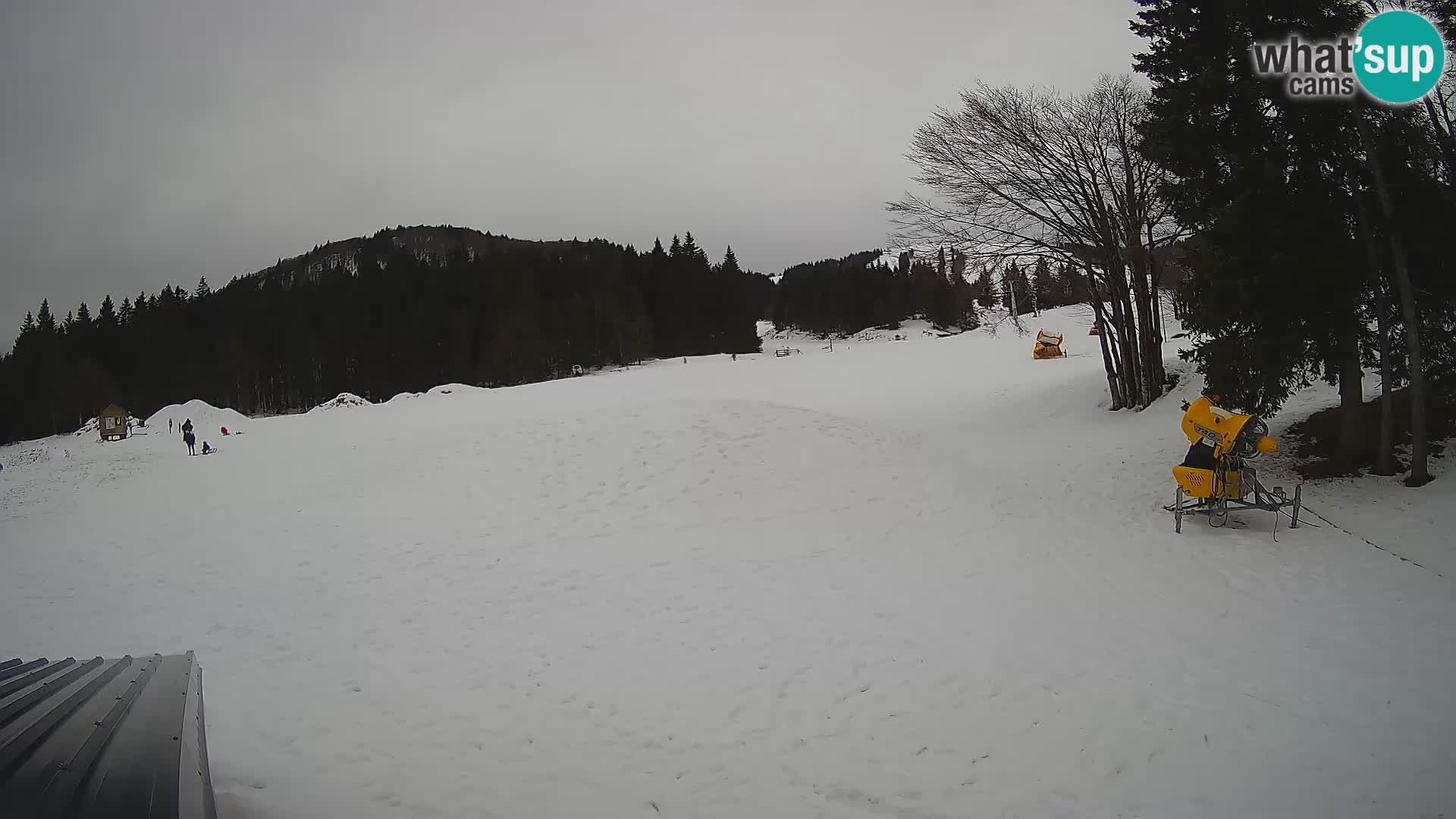 Live Webcam Stazione sciistica di Sorica – Sorška planina – Slovenia