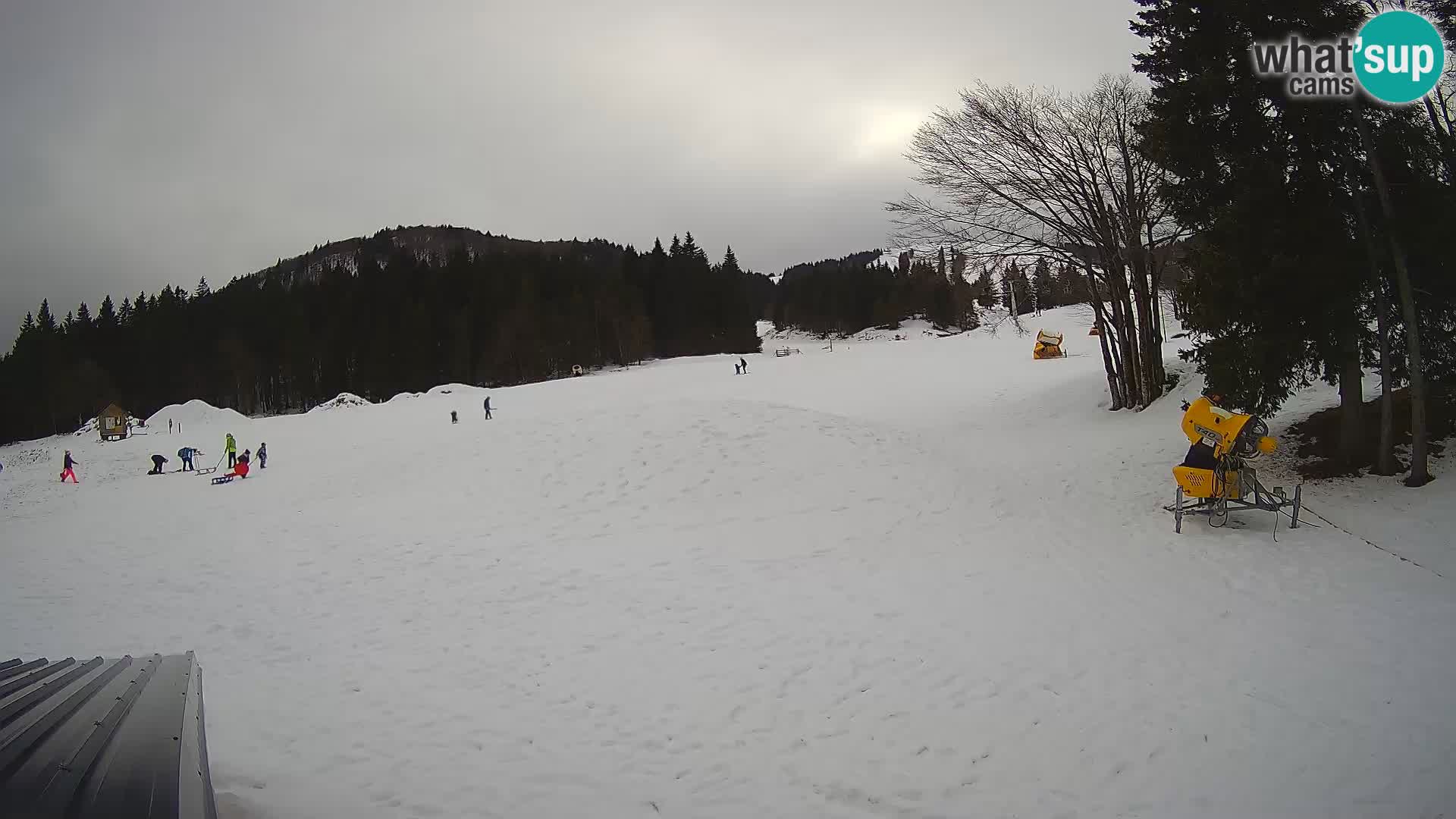 Webcam en direct station de ski de Sorica – Sorška planina – Slovénie