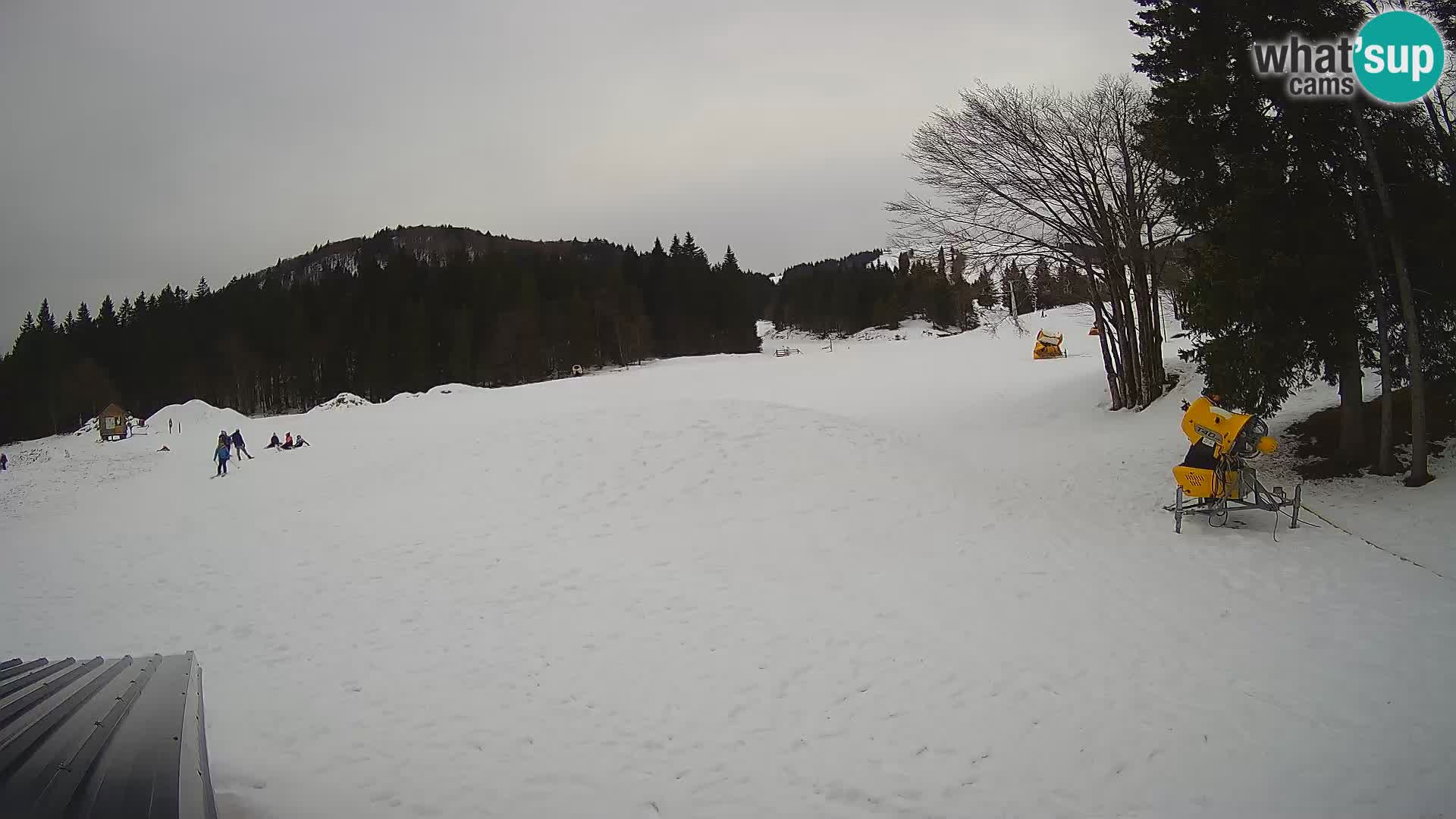 Live Webcam Skigebiet Sorica – Sorška planina – Slowenien