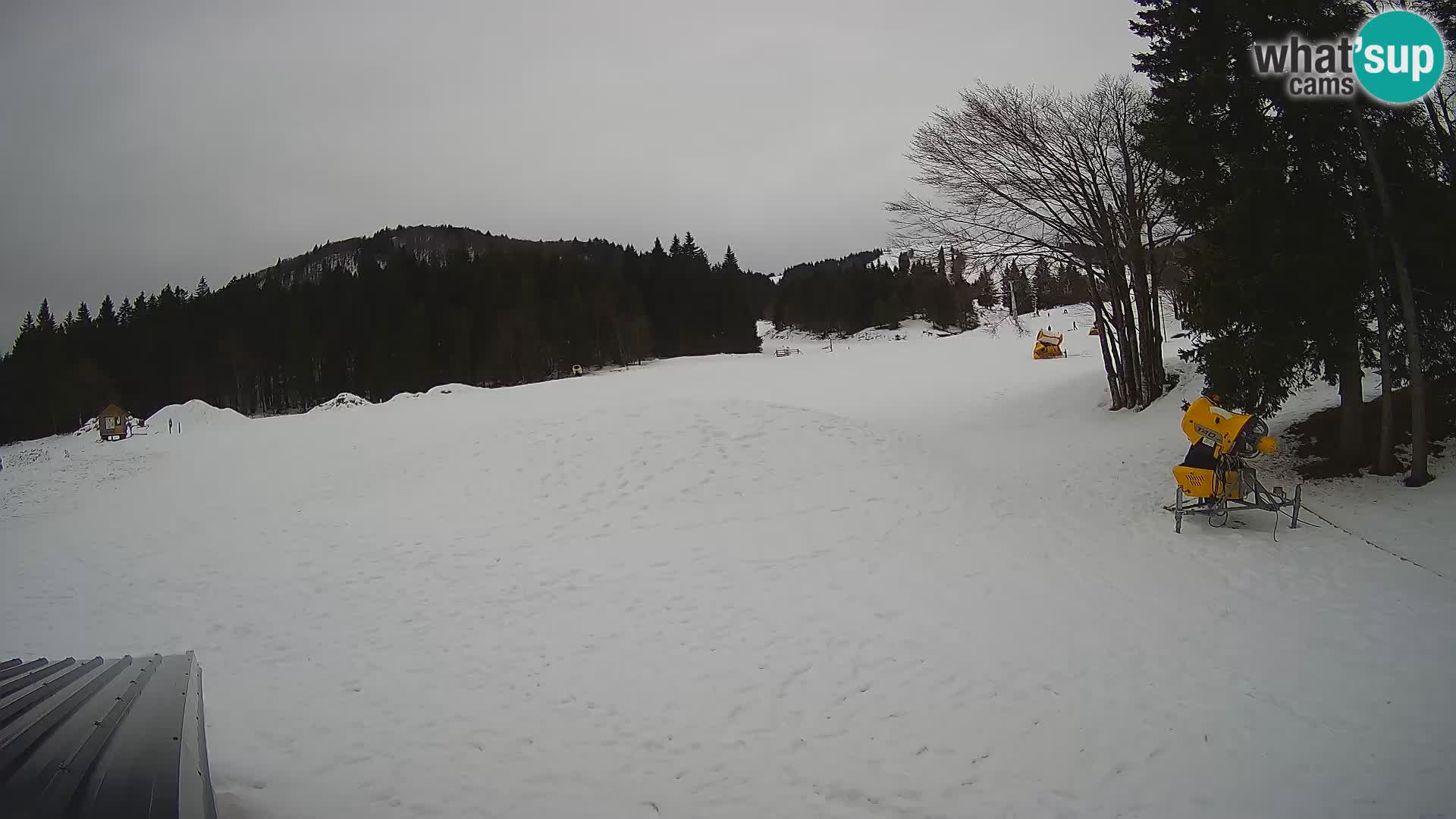 Smučišče Sorica spletna kamera – Sorška planina